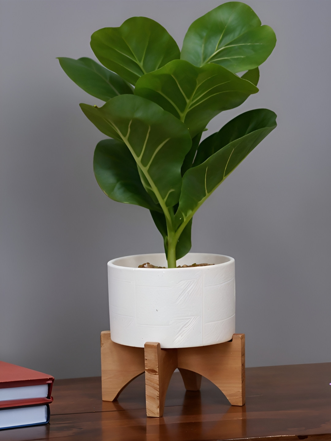 Royaloak Green & White Artificial Fiddle Leaf Plant With Pot