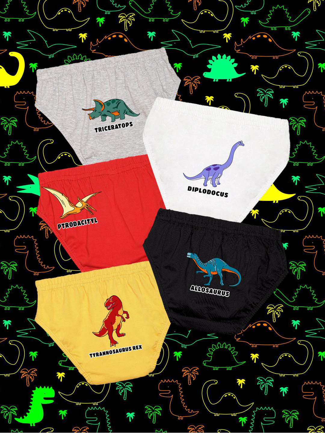 NUSYL Pack Of 5 Printed Cotton Mid-Rise Basic Briefs NUBCBRFPO5.0062