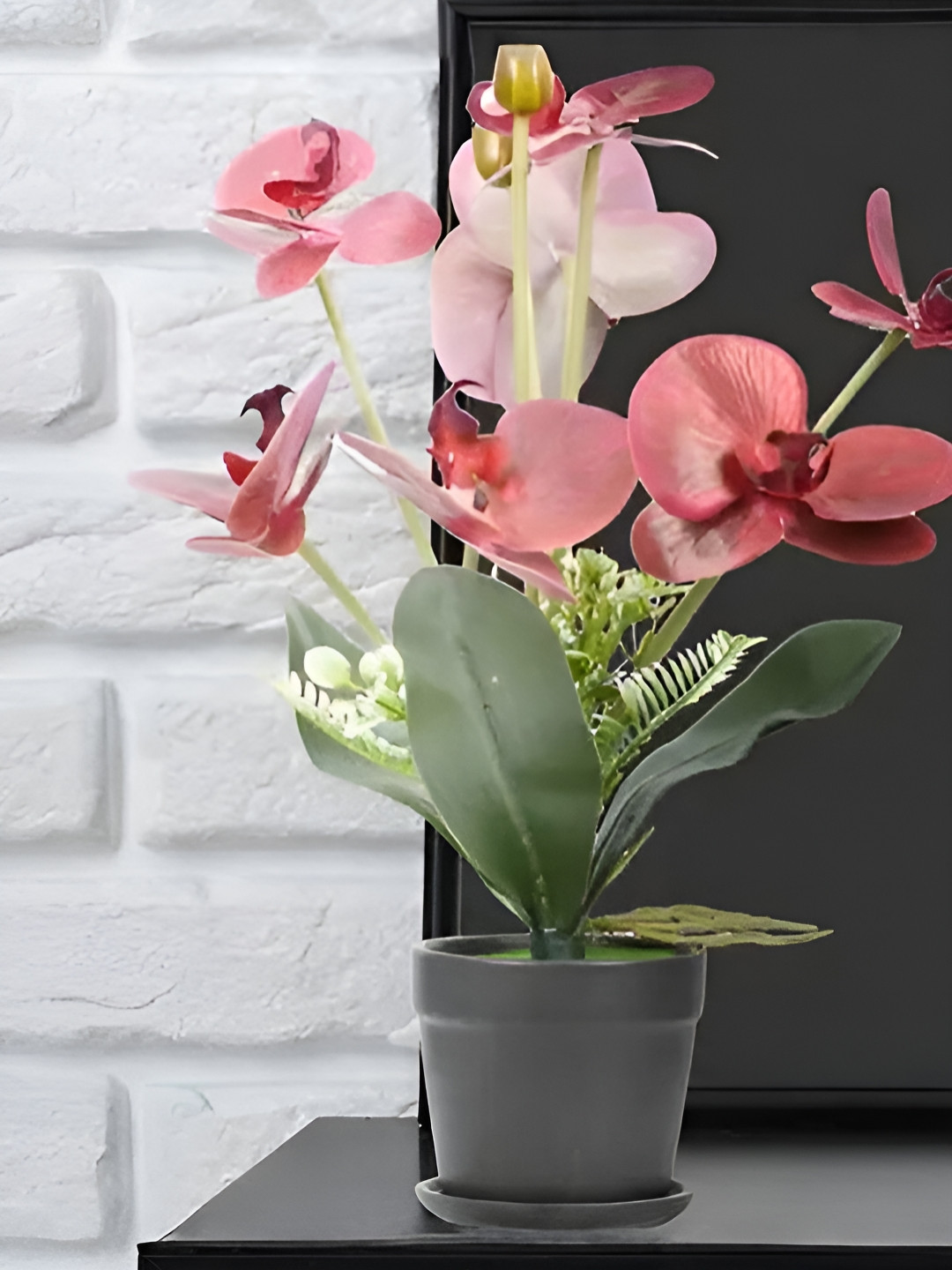 Royaloak Red Butterfly Orchid Artificial Flower With Pot