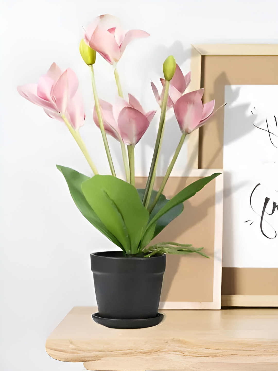 Royaloak Pink Seven Heads Whelan Artificial Flower With Pot