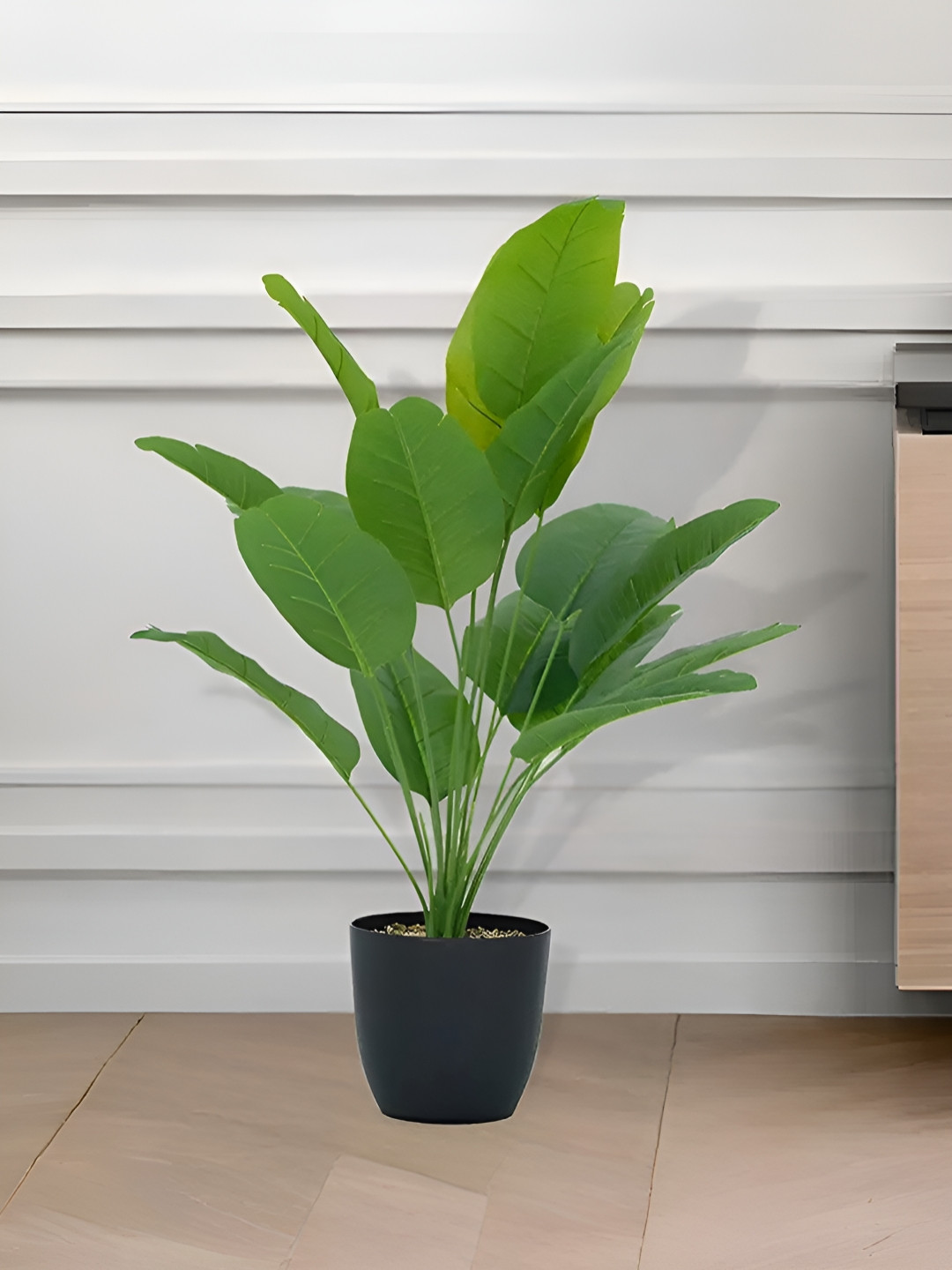 Royaloak Black And Green Dumb Canes Artificial Plant With Pot