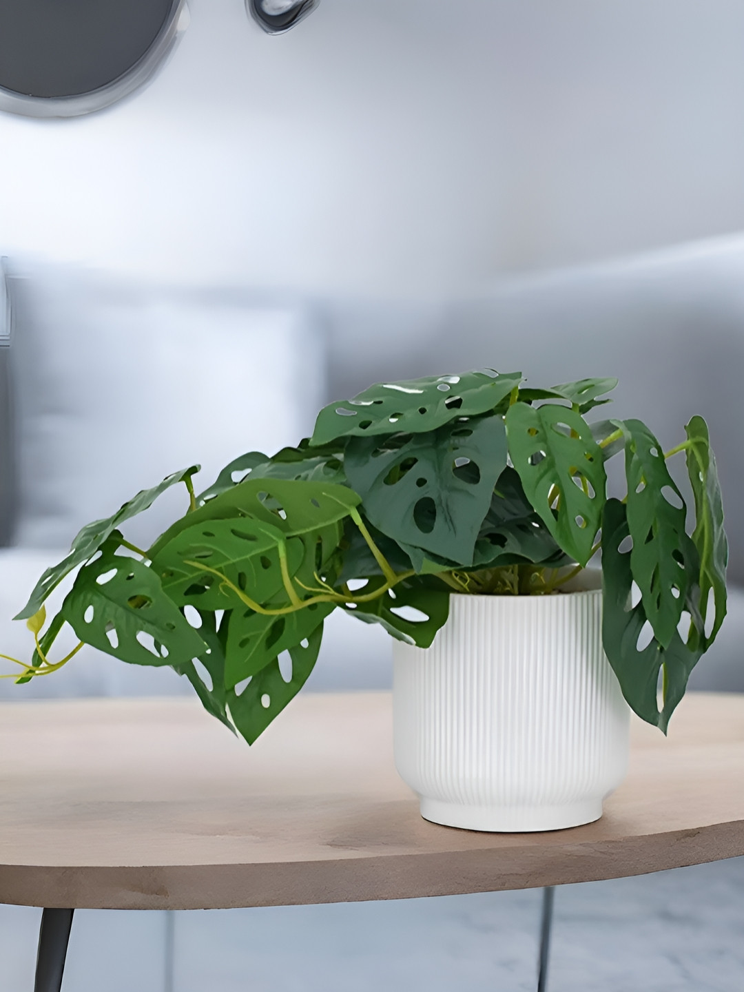 Royaloak Green Farm Philodendron Artificial Plant With Pot