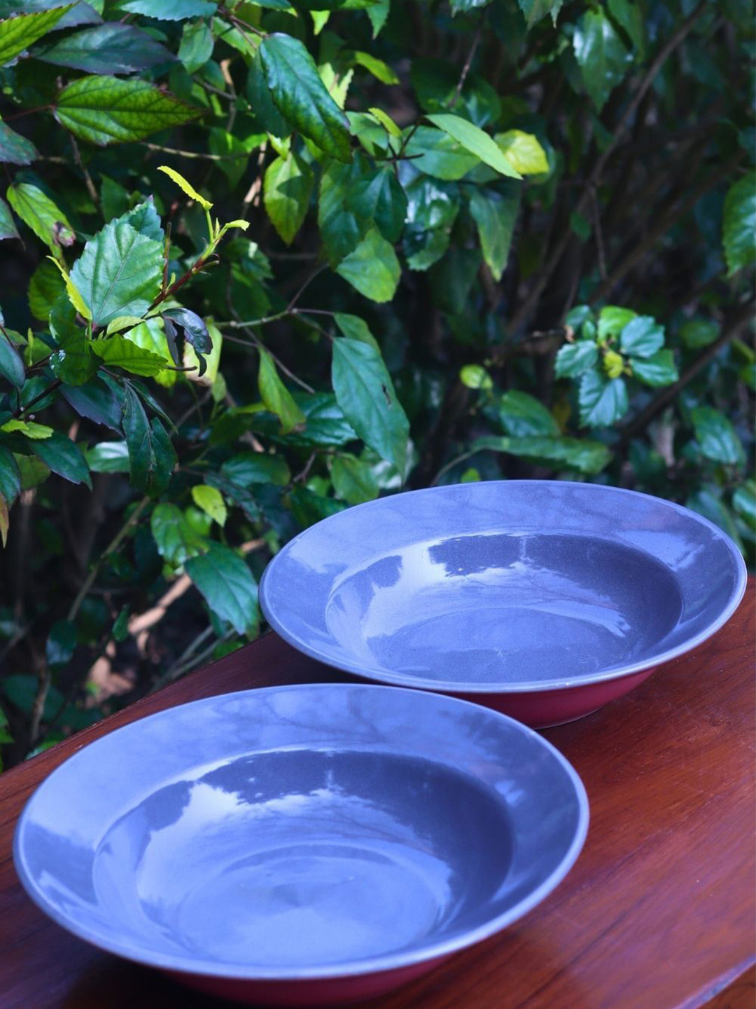 WEAVING HOMES Grey and Maroon 2 Pieces Ceramic Pasta Plates