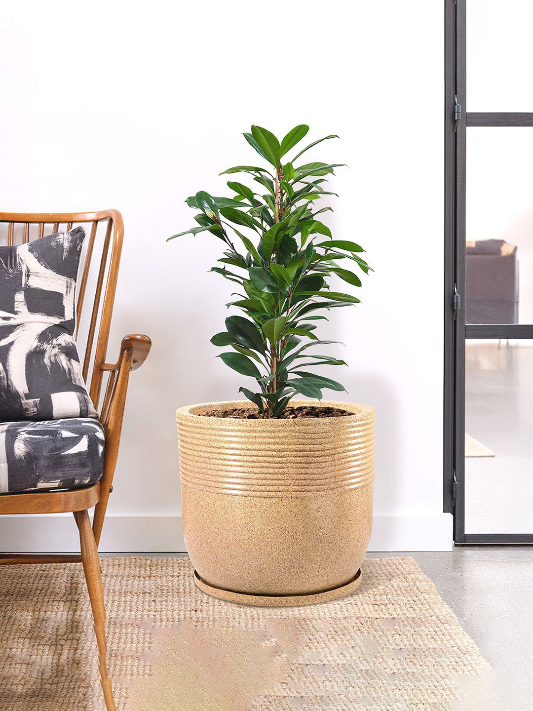Kuber Industries Brown Textured Roto Mould Flower Planters With Tray