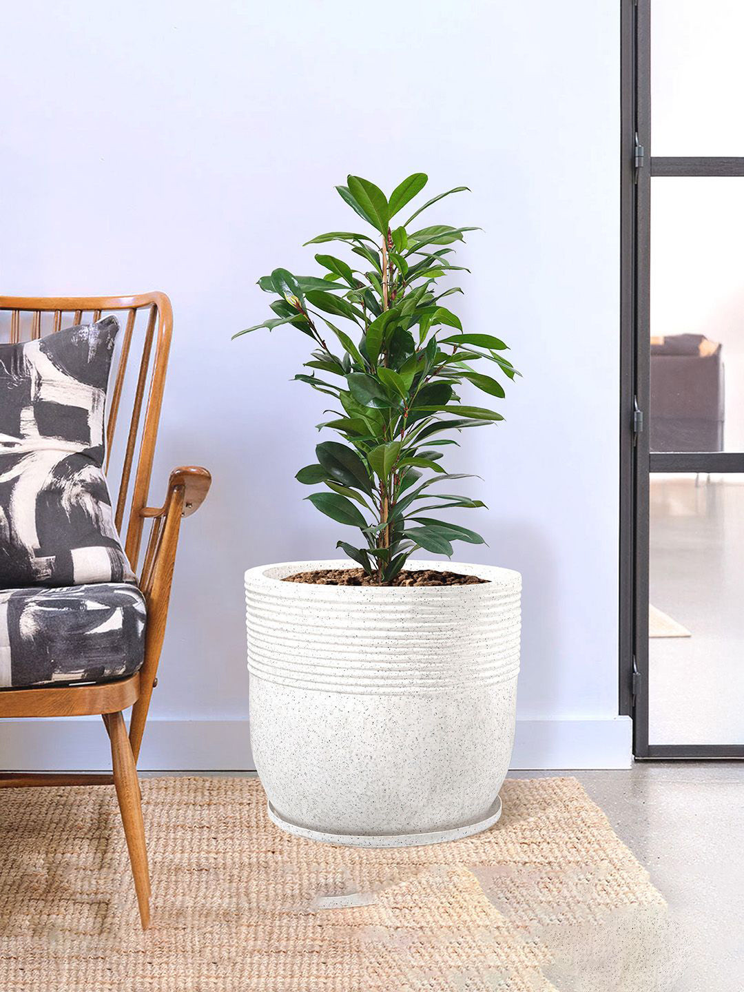 Kuber Industries 2 Pieces White Textured Roto Mould Flower Planters With Tray