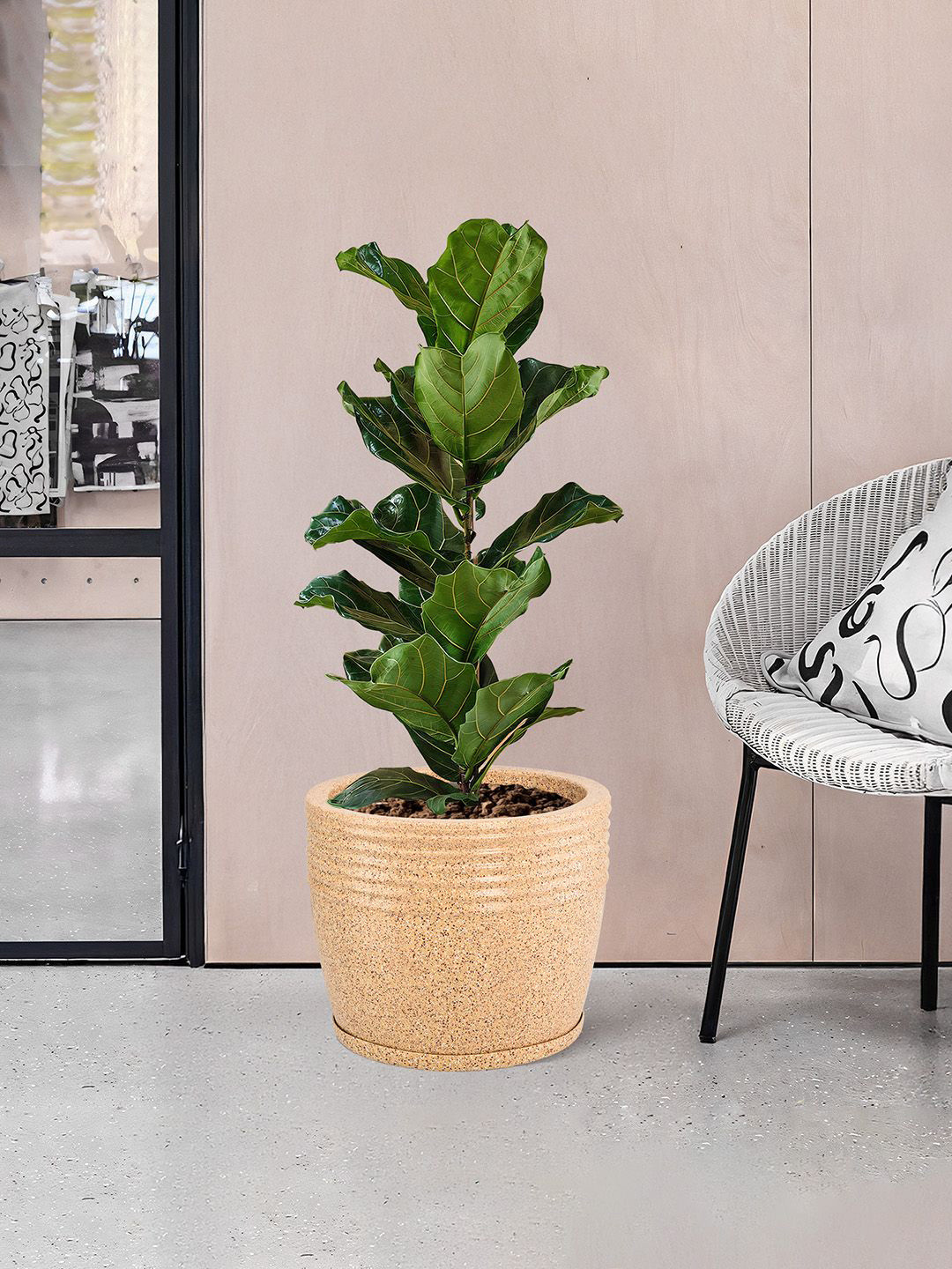 Kuber Industries Brown 6 Pieces Textured Roto Mould Flower Planters With Tray