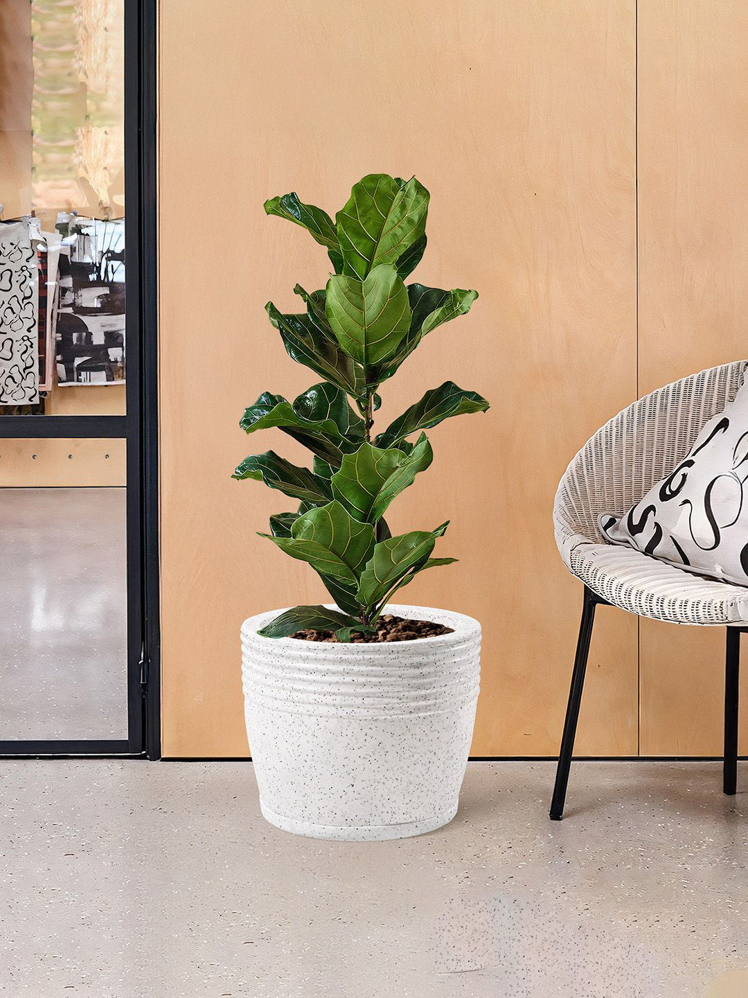 Kuber Industries White 3 Pieces Textured Roto Mould Flower Planters With Tray