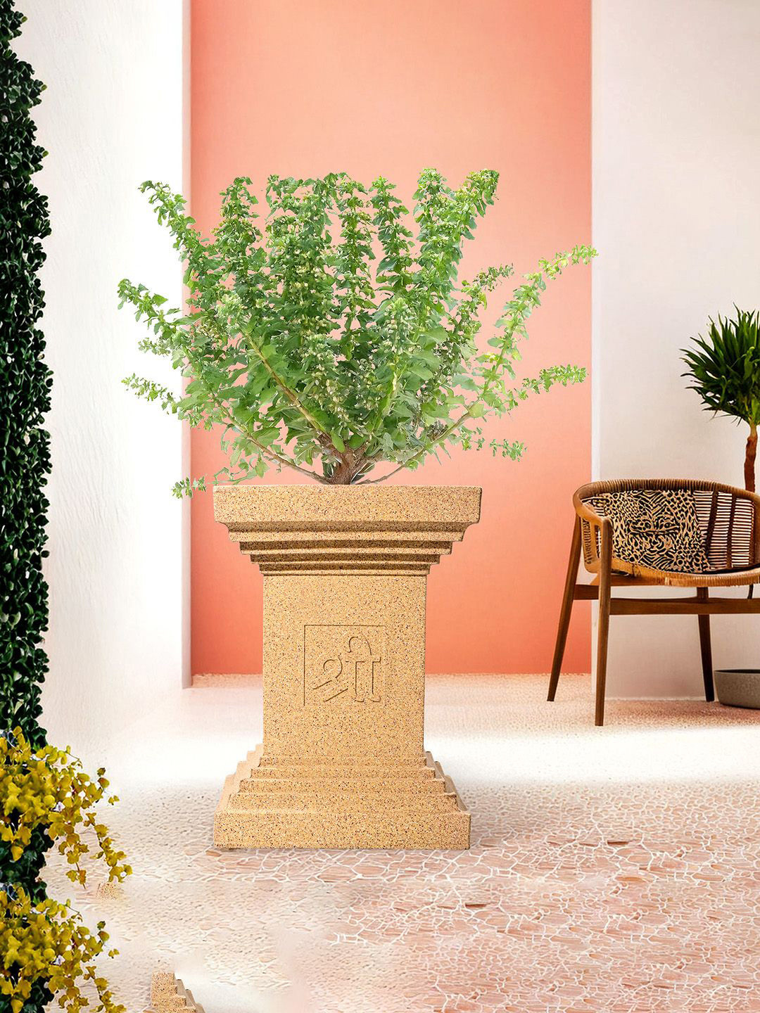 Kuber Industries Brown Roto Mould Tulsi Flower Planters