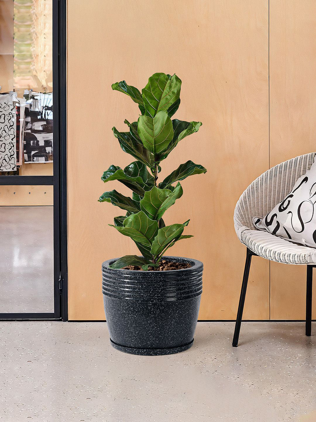 Kuber Industries Sunshine Black Textured Roto Mould Flower Planters With Tray