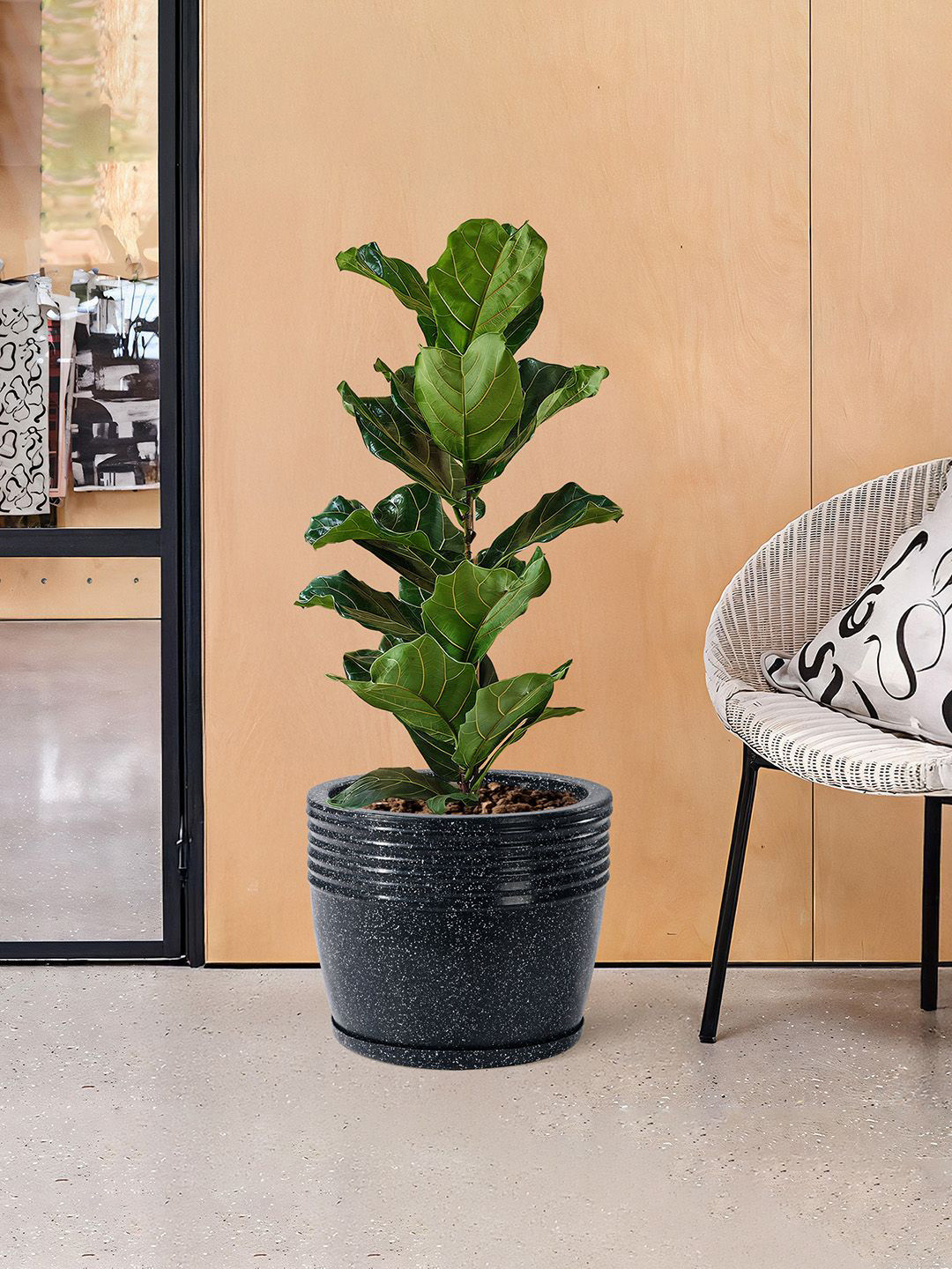 Kuber Industries Black Pack of 6 Textured Roto Mould Flower Planters With Bottom Tray