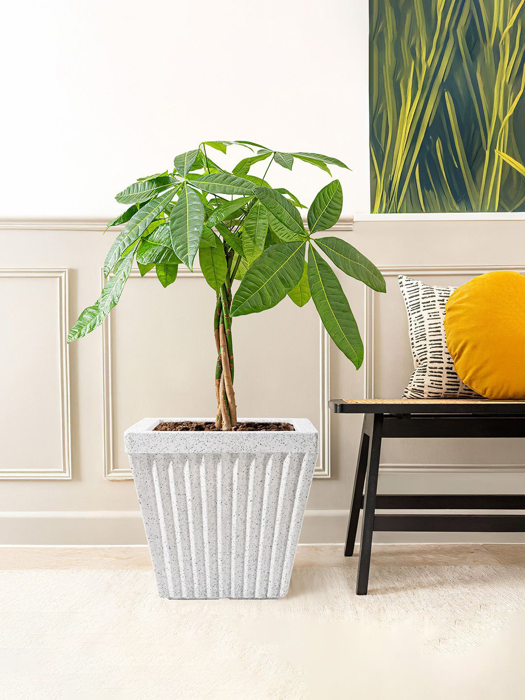 Kuber Industries White 3 Pieces Textured Roto Mould Pihu Splash Flower Planters