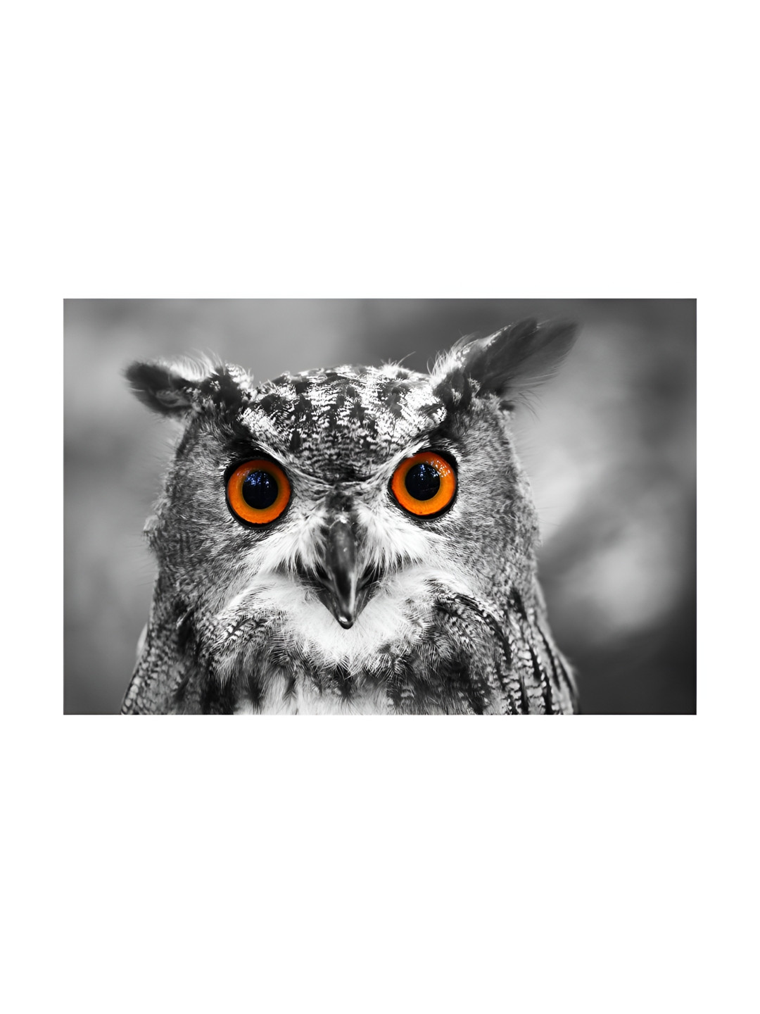 Inephos White & Grey 1 Piece Birds and Animals Printed Canvas Wall Art