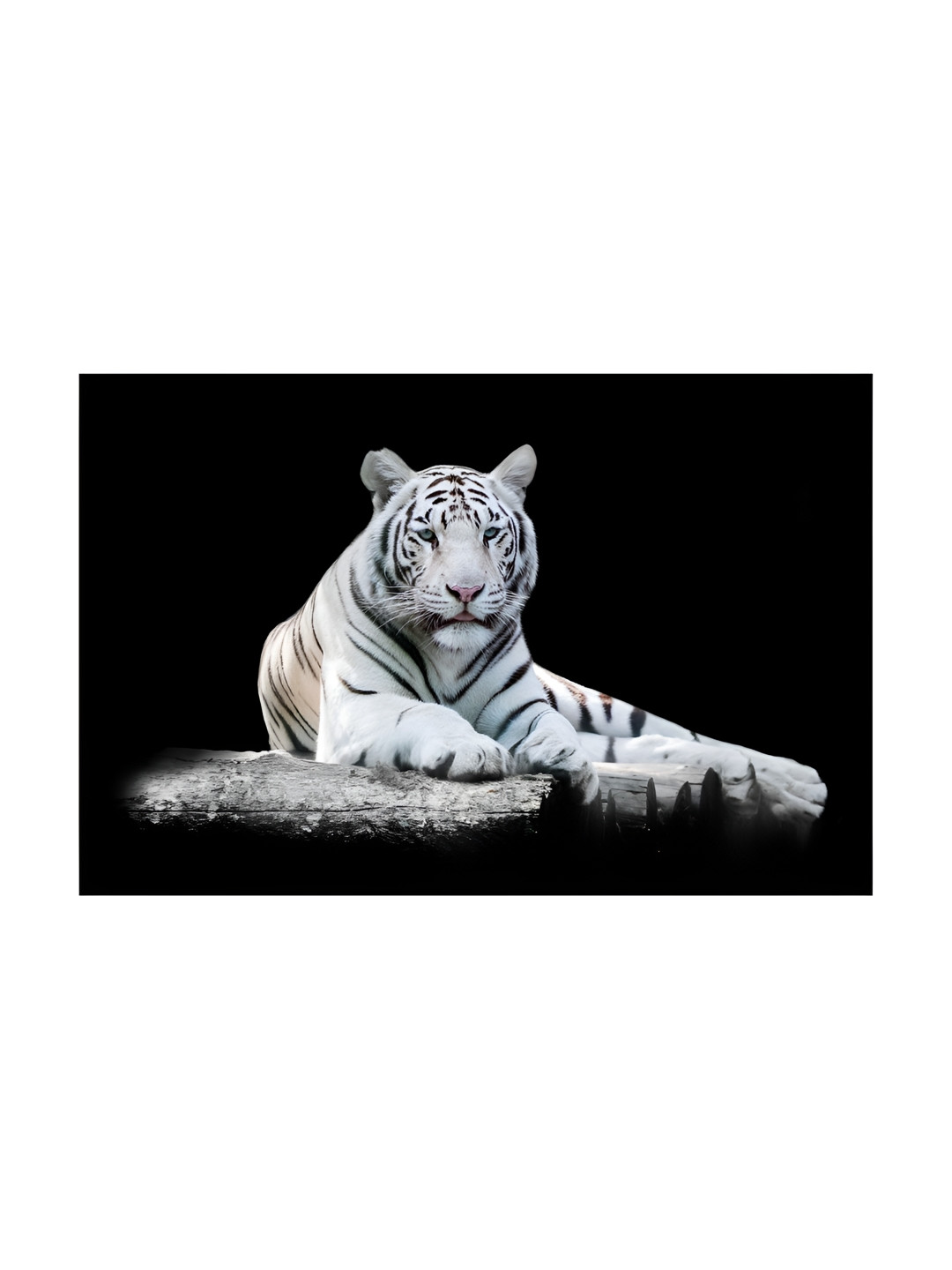 Inephos White And Black Birds And Animals Printed Canvas Wall Art