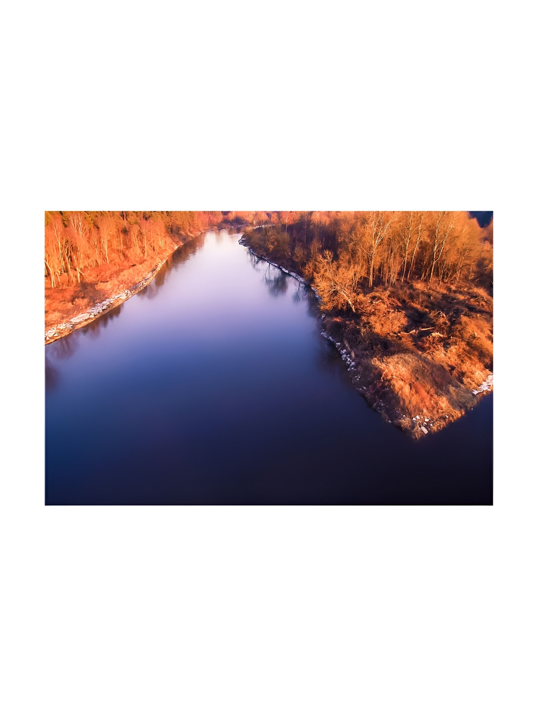 Inephos Brown And Blue Floral And Botanical Printed Canvas Wall Art