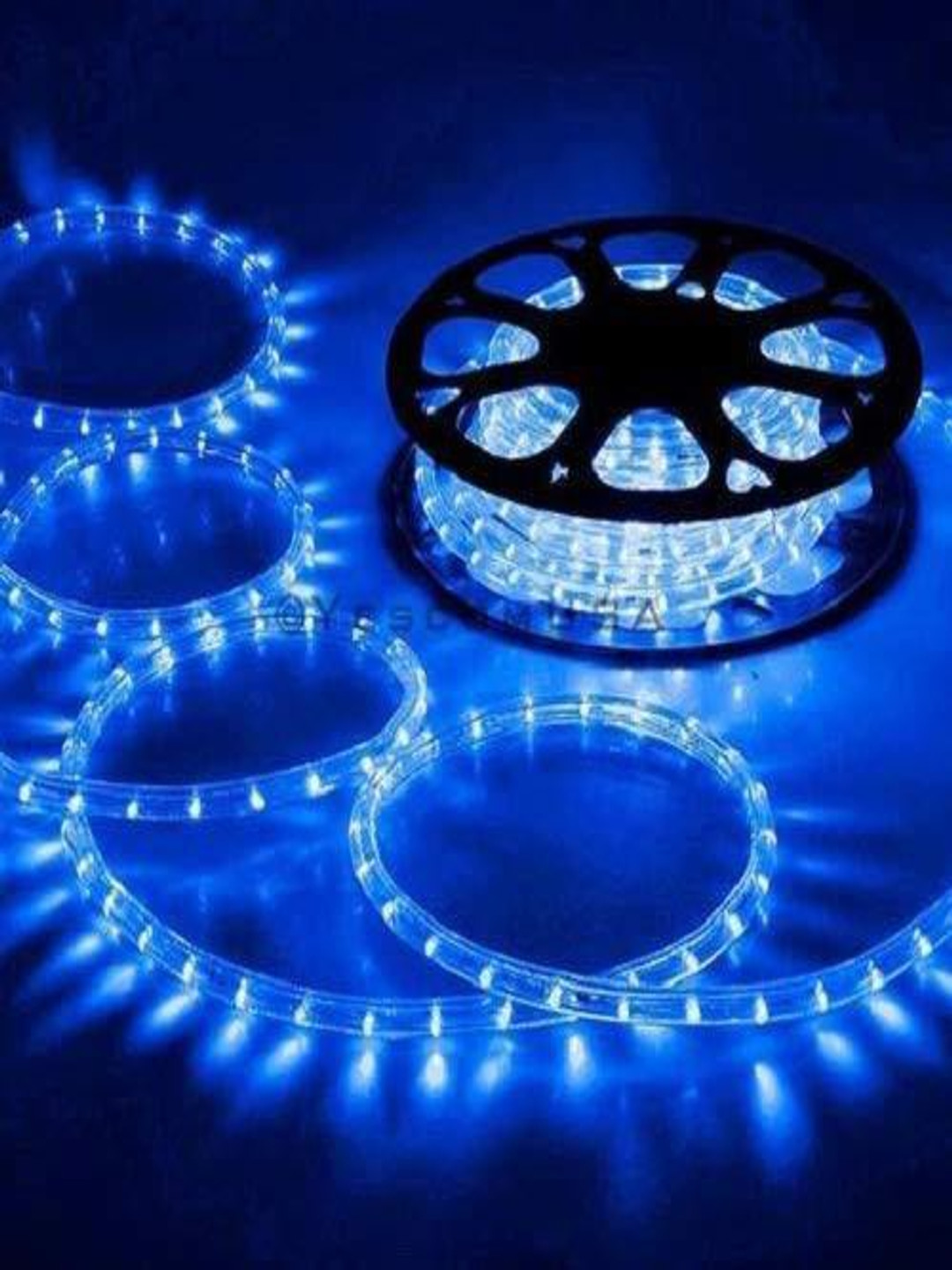 ENORMITY Blue & Black Rice Shape String Lights