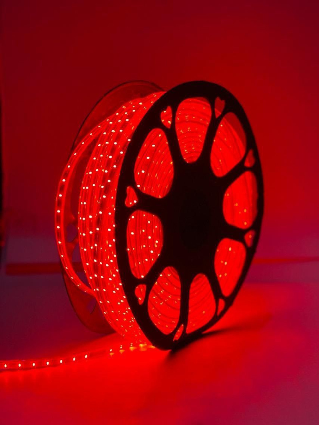 SPARK WORLD 600 Red Neon Rope LED String Lights
