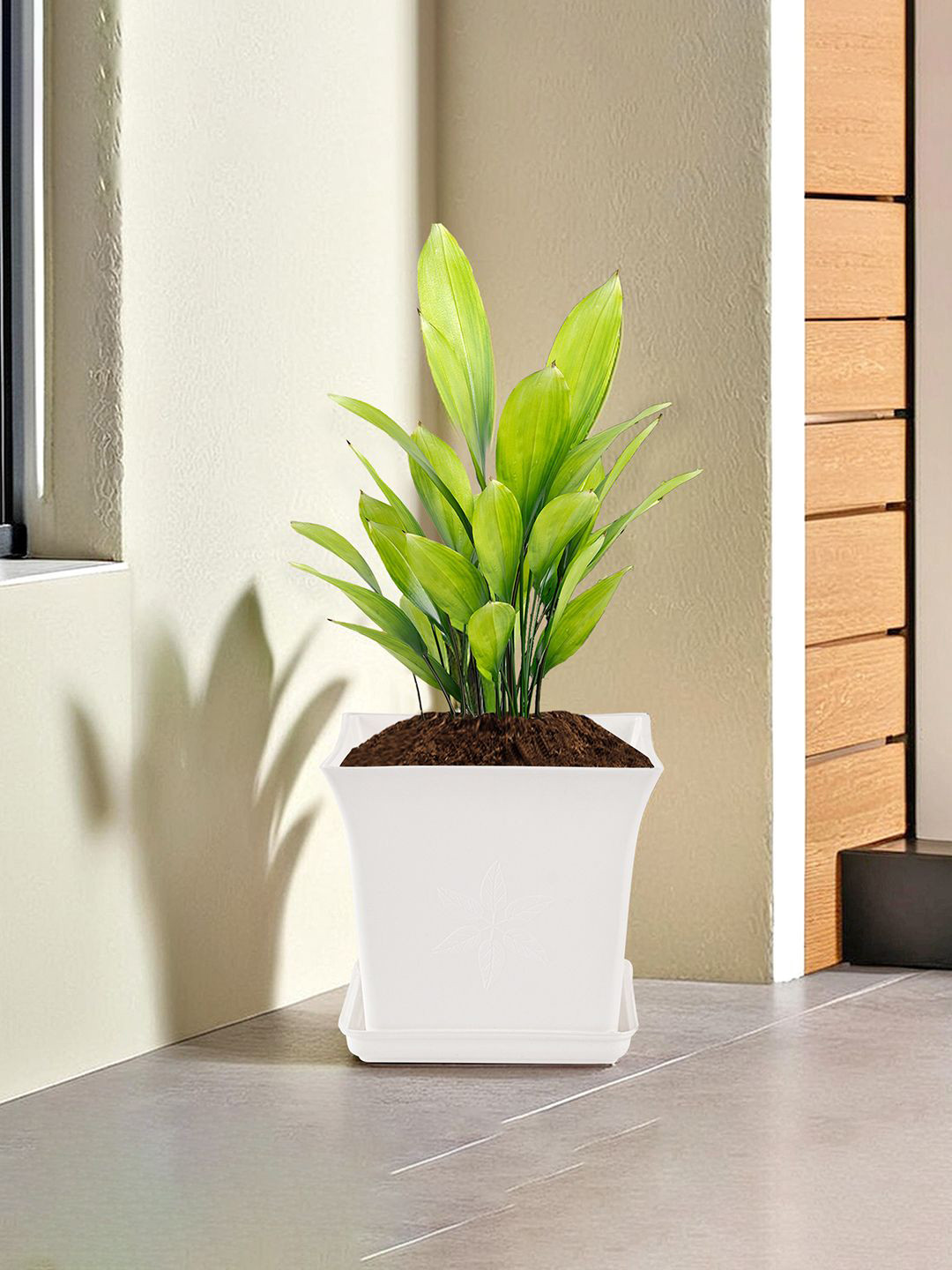 Kuber Industries White and Green Textured Flower Planters With Tray