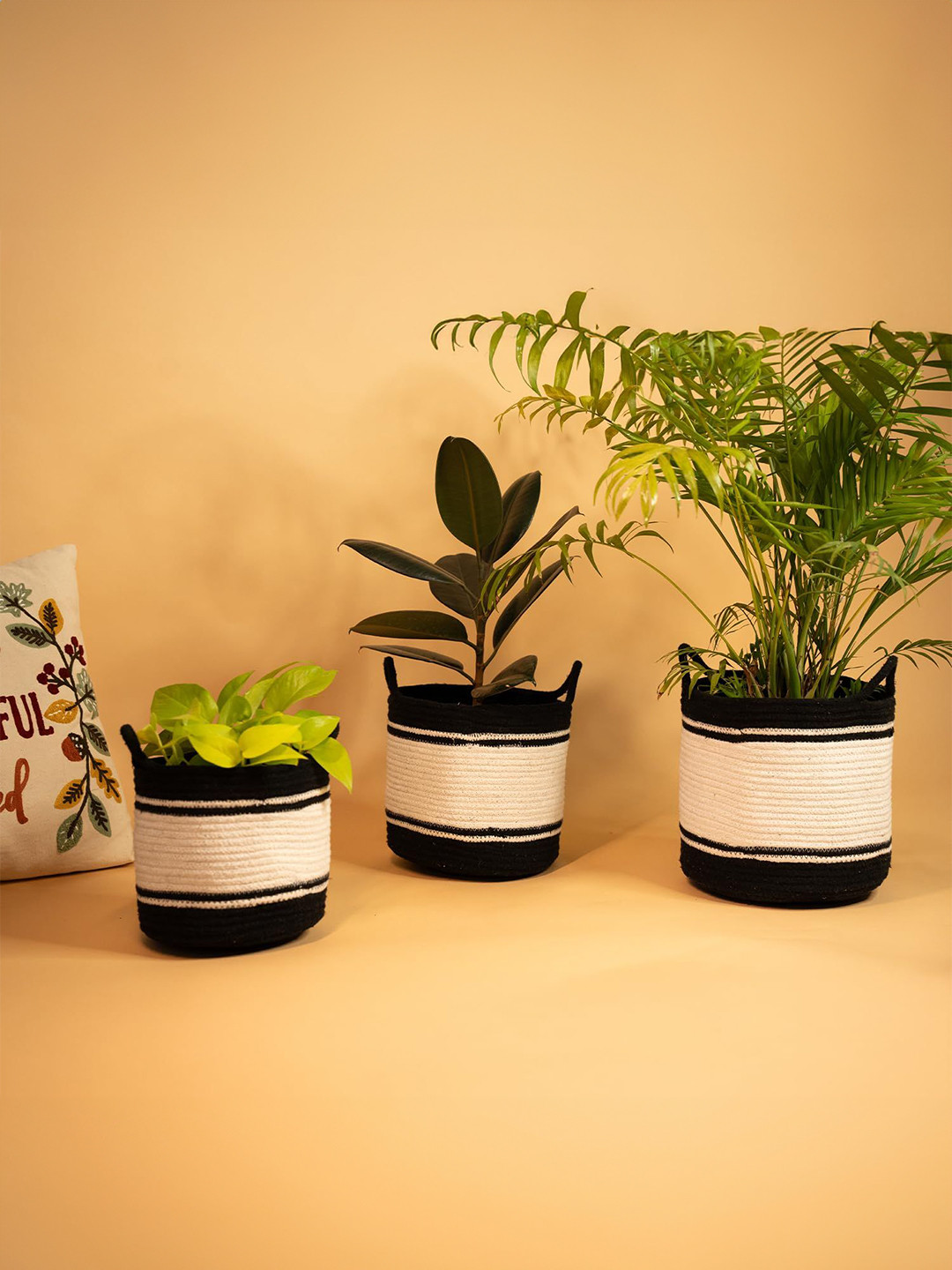 prettykrafts White Set of 3 Water Resistant Multi-Utility Organisers