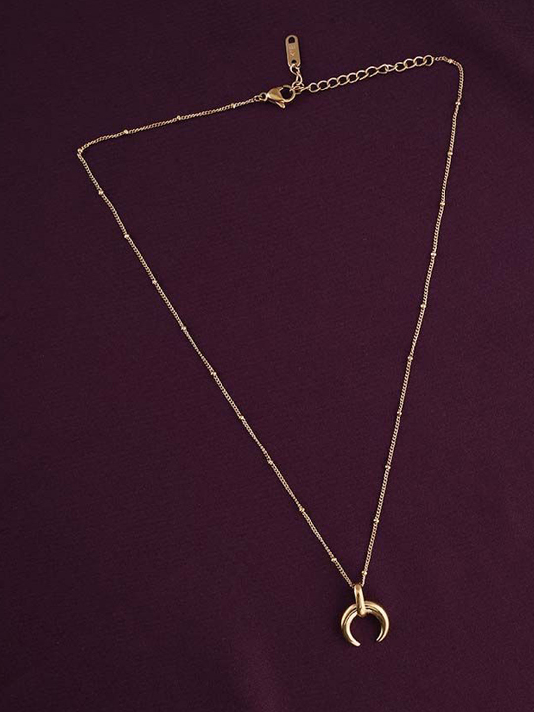 PALMONAS 18K Gold-Plated Stainless Steel Tiny Horn Pendant With Chain
