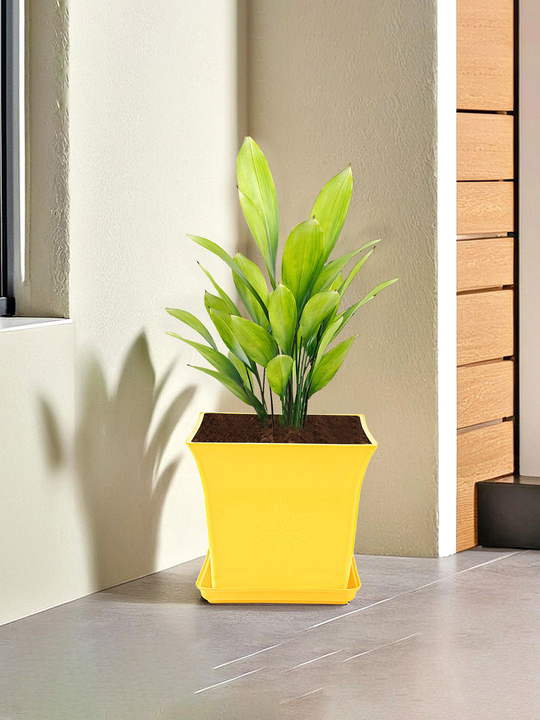 Kuber Industries Yellow and Green Textured Flower Planters With Tray
