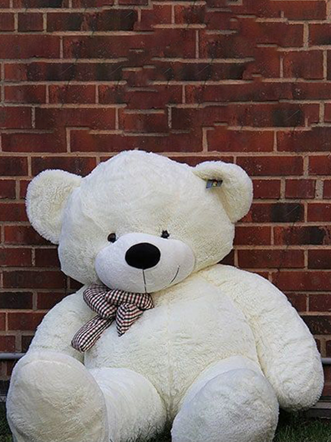 VEERA SOFT TOYS Kids Cotton Non Toxic Teddy Bear-2 Feet