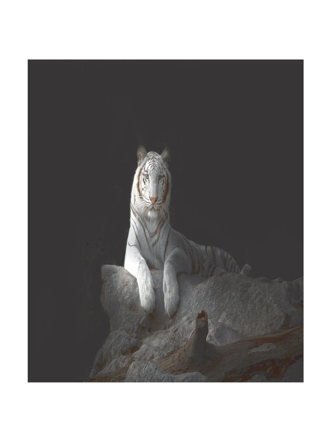 Inephos Black And White Birds and Animals Printed Canvas Wall Art