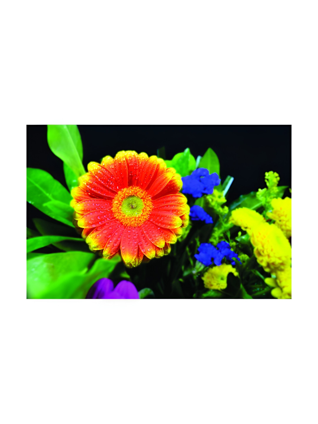 Inephos Green & Red Flowers Floral Canvas Wall Art