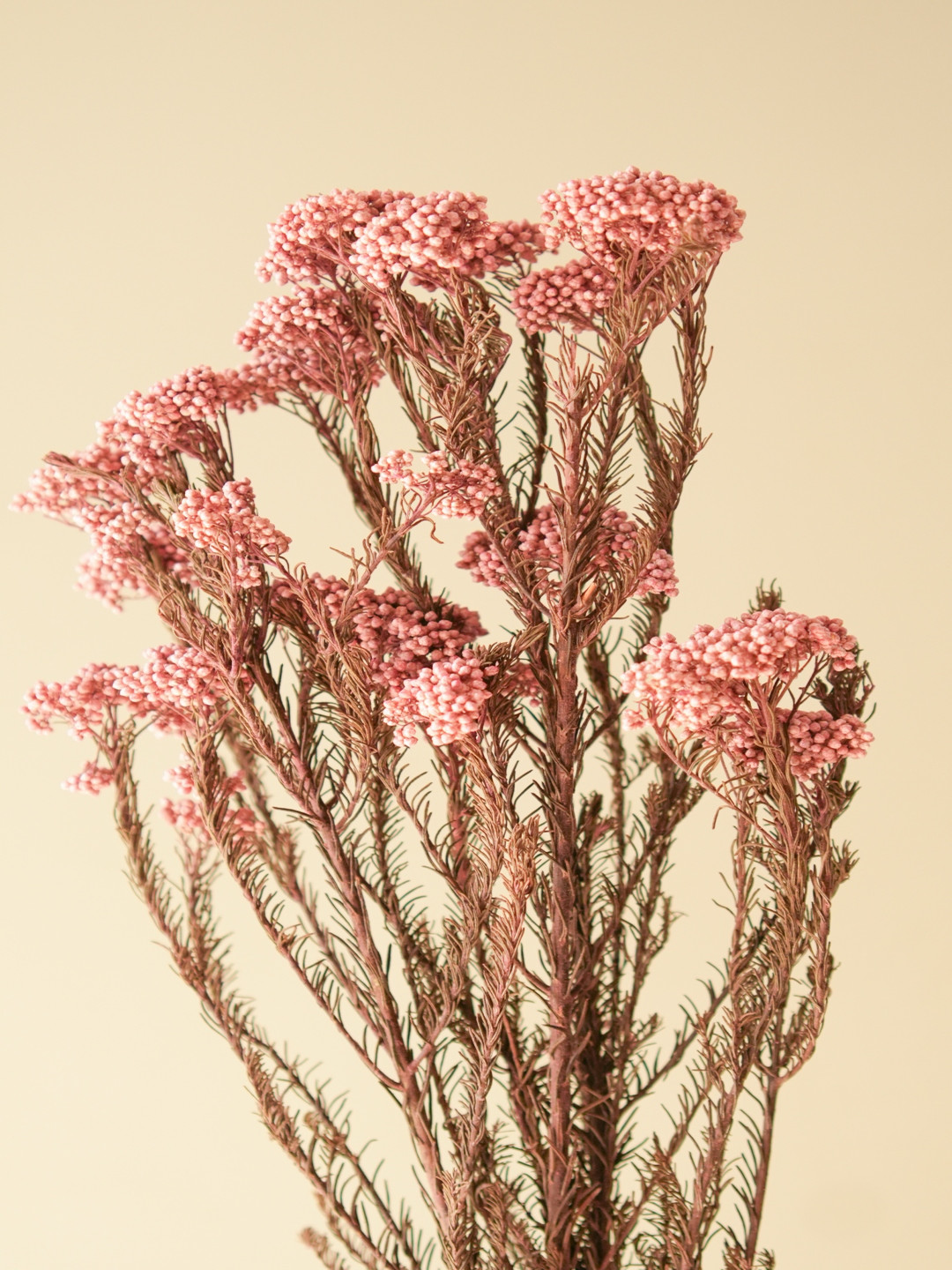 ArteCasa Pink & Brown Rice Artificial Flower