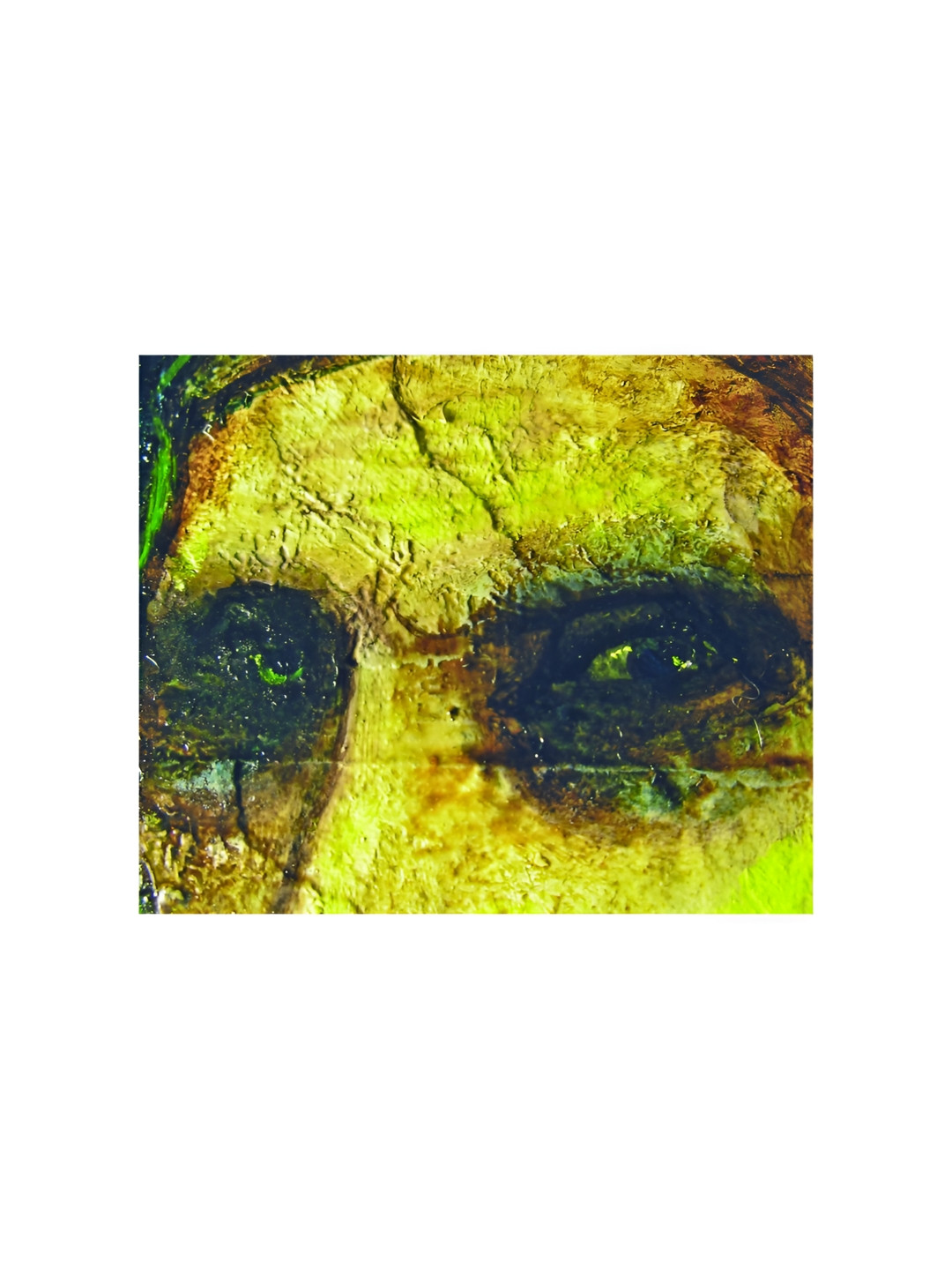 Inephos Black And Green Eyes Canvas Wall Art