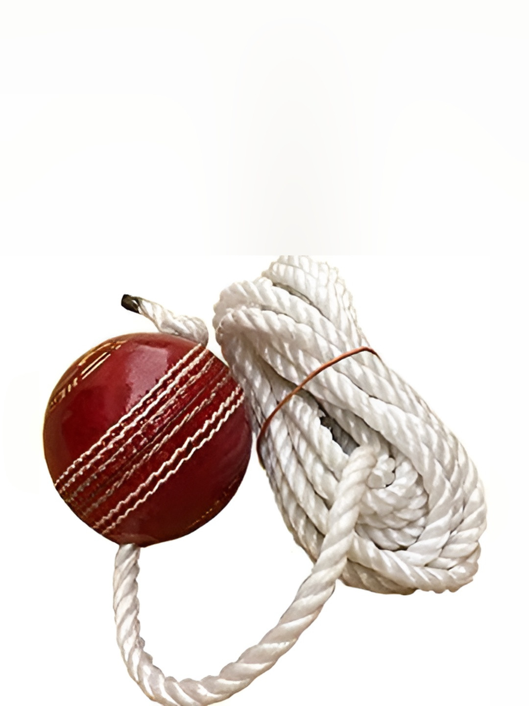 HackerX Pebble Leather Sports Cricket Hanging Ball