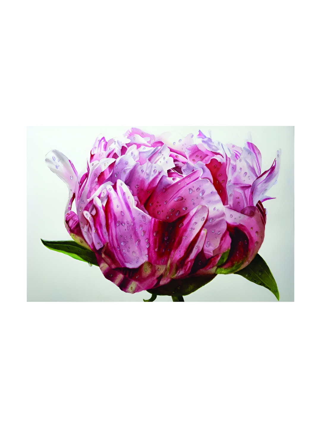 Inephos Pink & Green Floral and Botanical Flower Canvas Wall Art