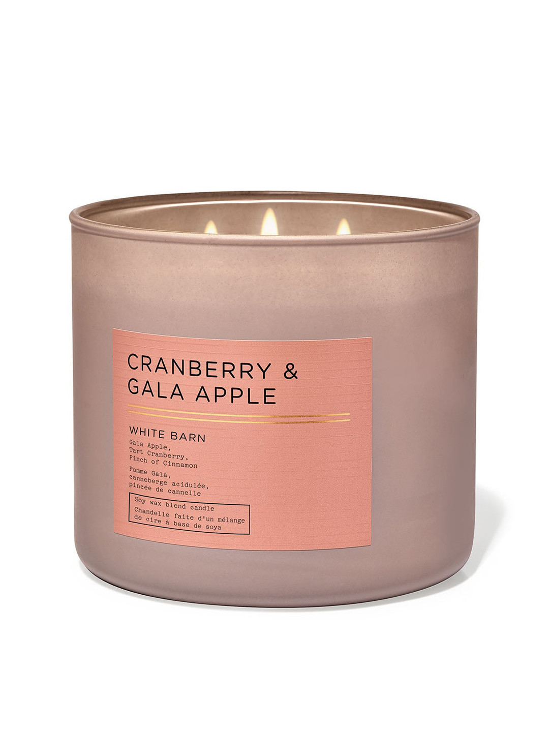 Bath & Body Works Cranberry & Gala 3 Wick Cranberry & Gala Apple Solid Jar Candles