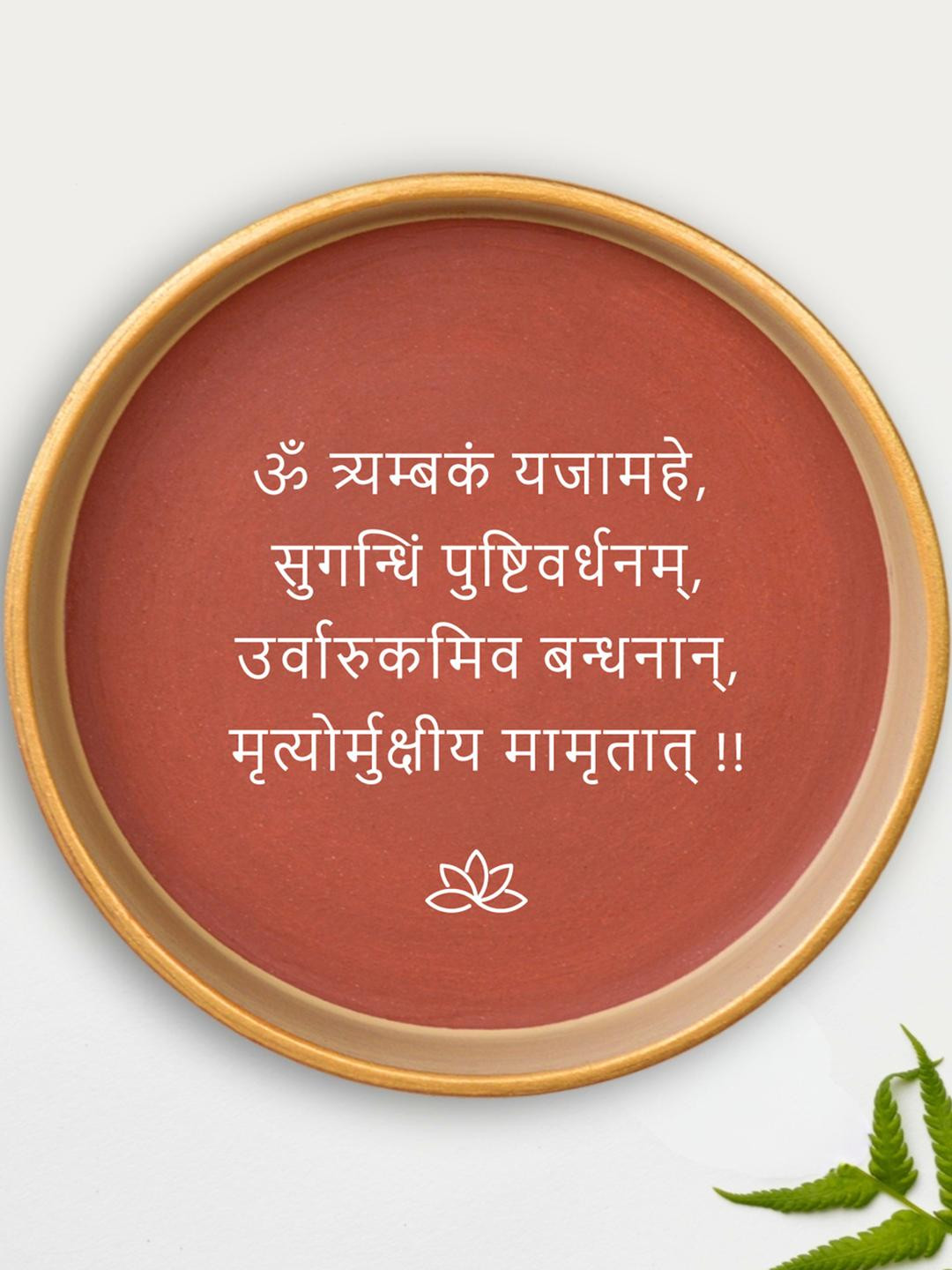 ALMIRO TREE Shiv Mantra Clay Ethnic Motifs Matte Hanging Hall Wall Plates-8In