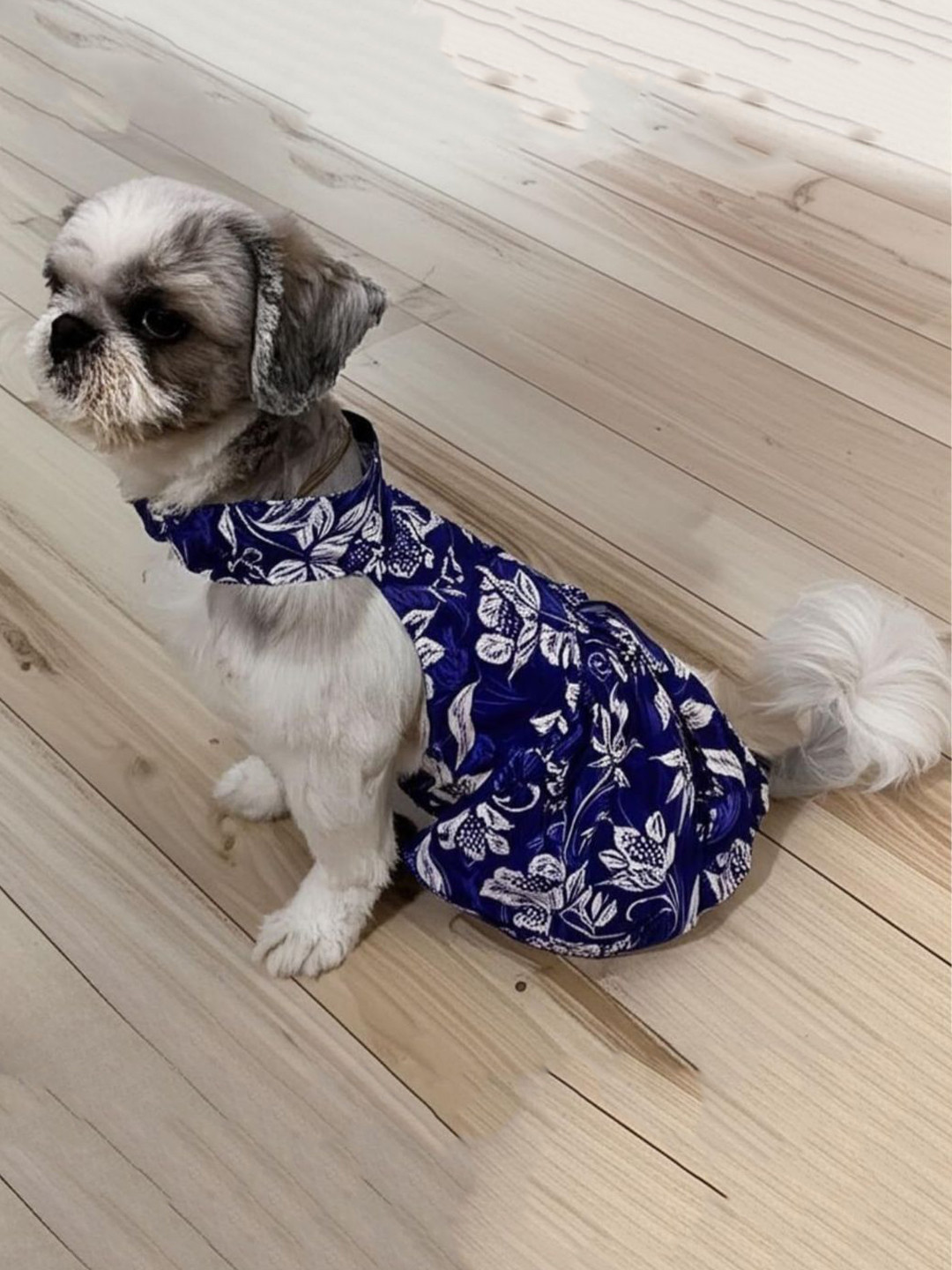 Lulala Floral Printed Skin Friendly Dogs & Cats Frock Dress