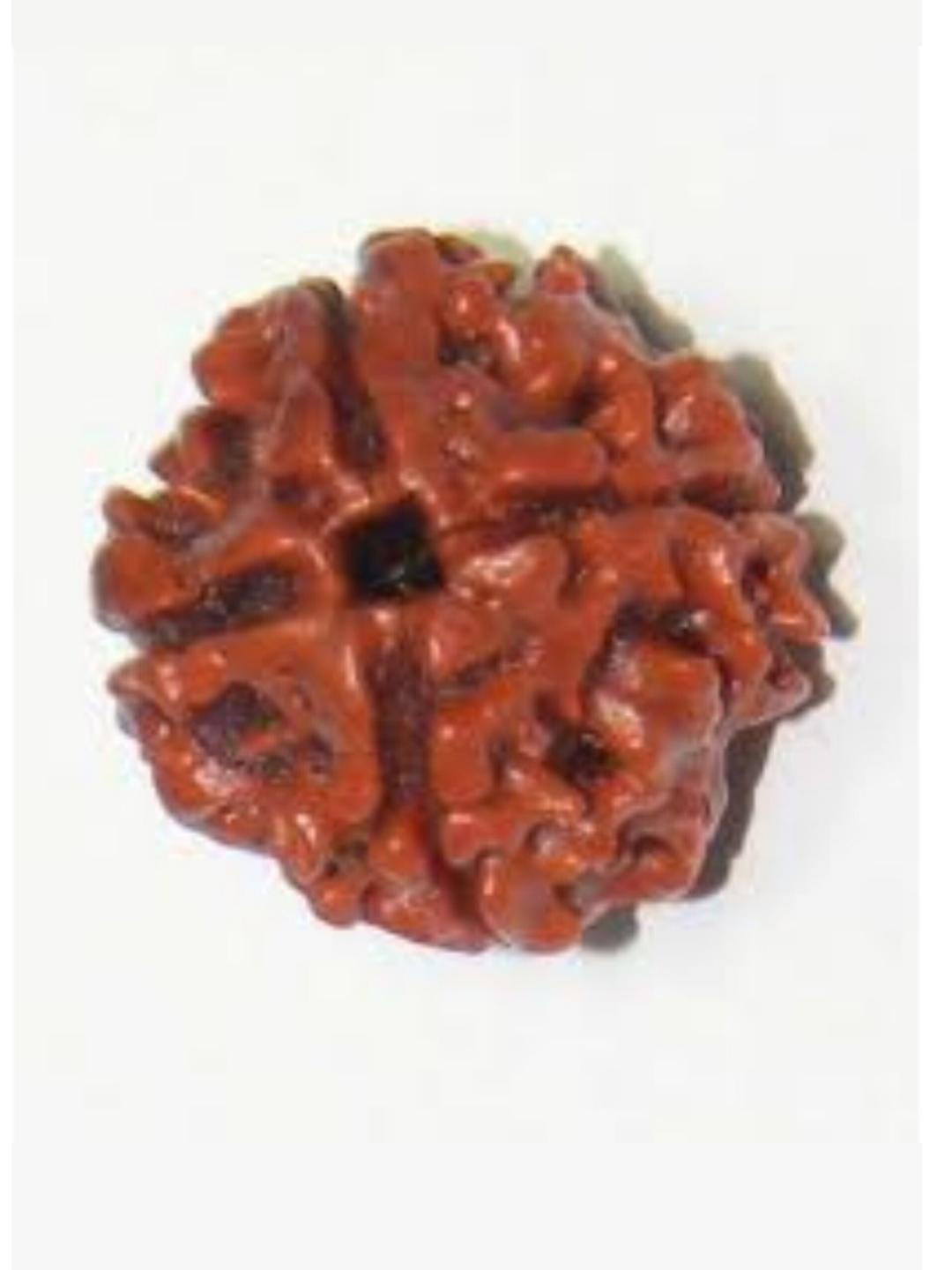 Divine souvenirs Adult Rudraksha Pendant