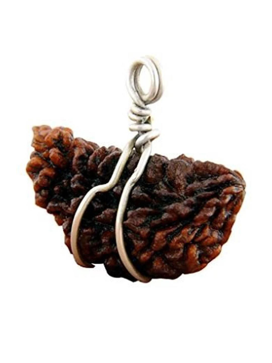 Divine souvenirs Unisex Brown Rudraksha Silver-Plated Pendant