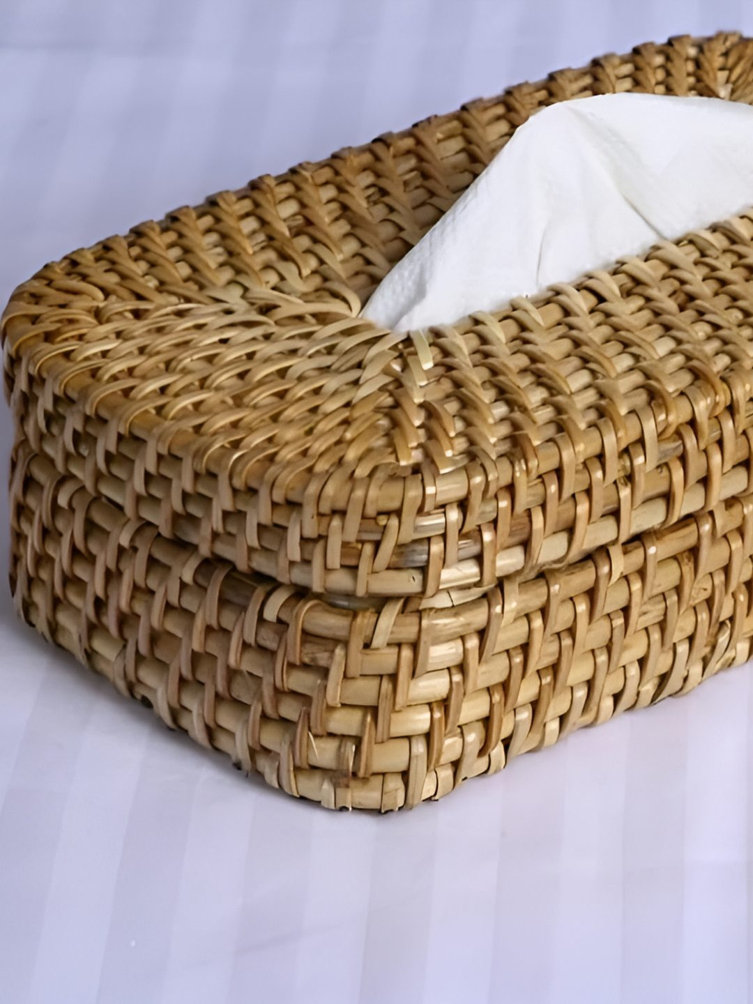 THE ASSAM ADMIRATION Beige Tissue Holders