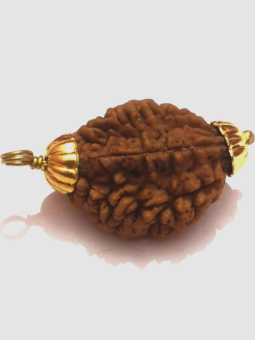 Divine Souvenirs Rudraksha Pendant