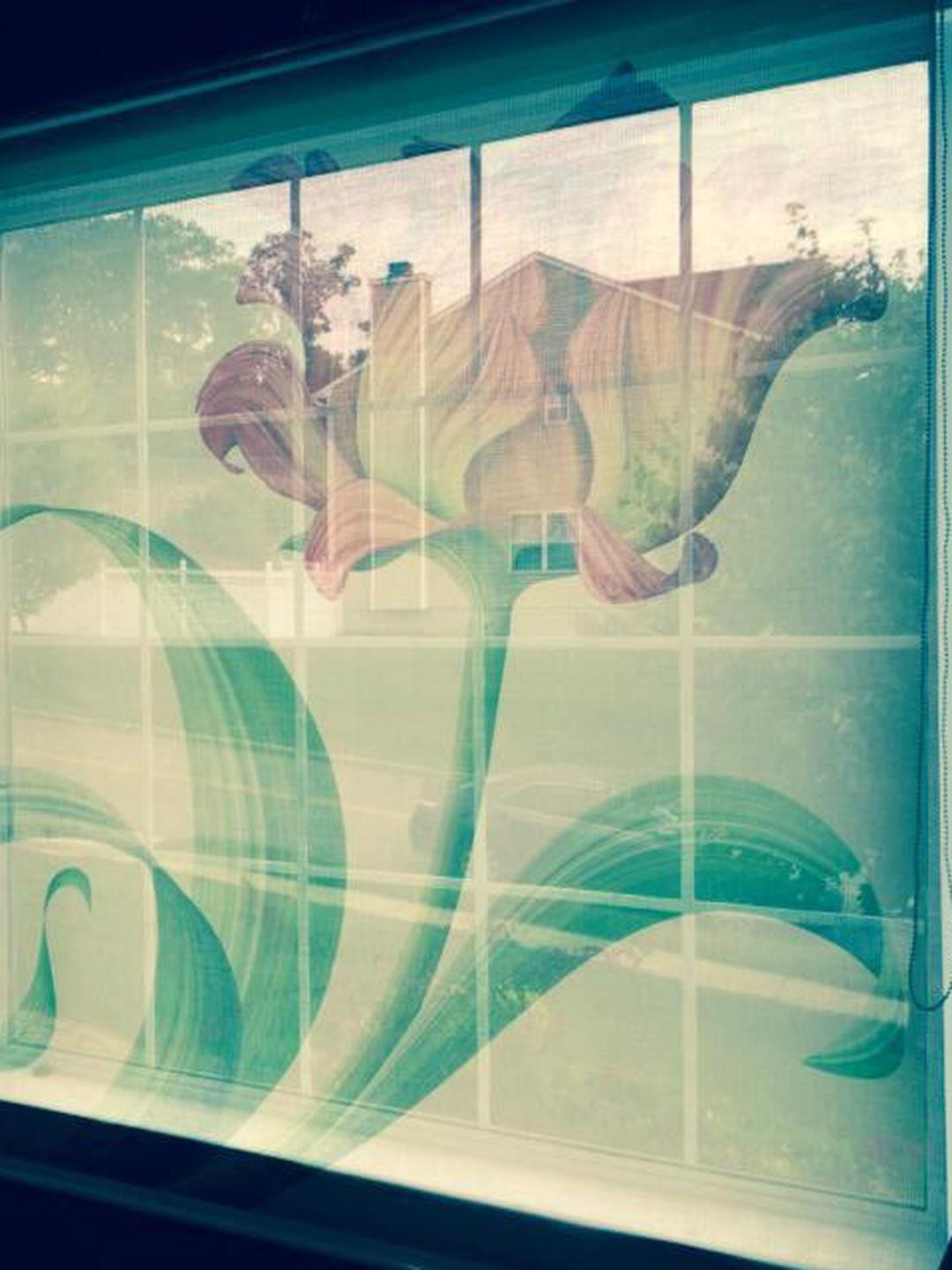 EMBUER Solid Window Blinds