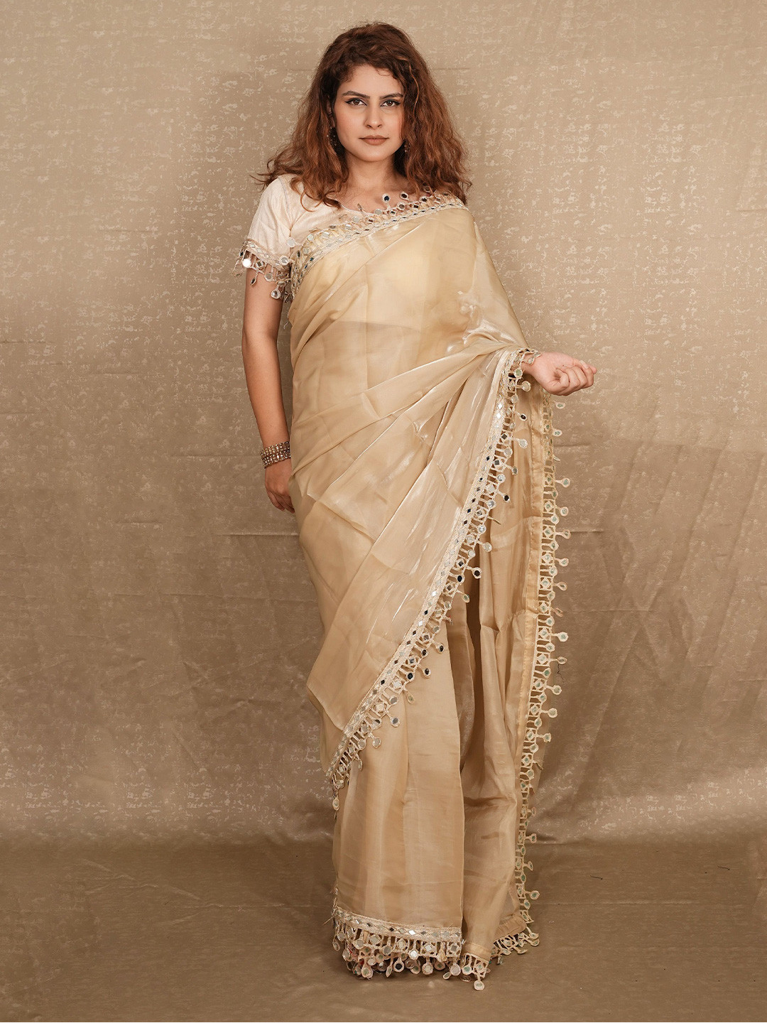 Anouk Mirror Work Border Organza Saree