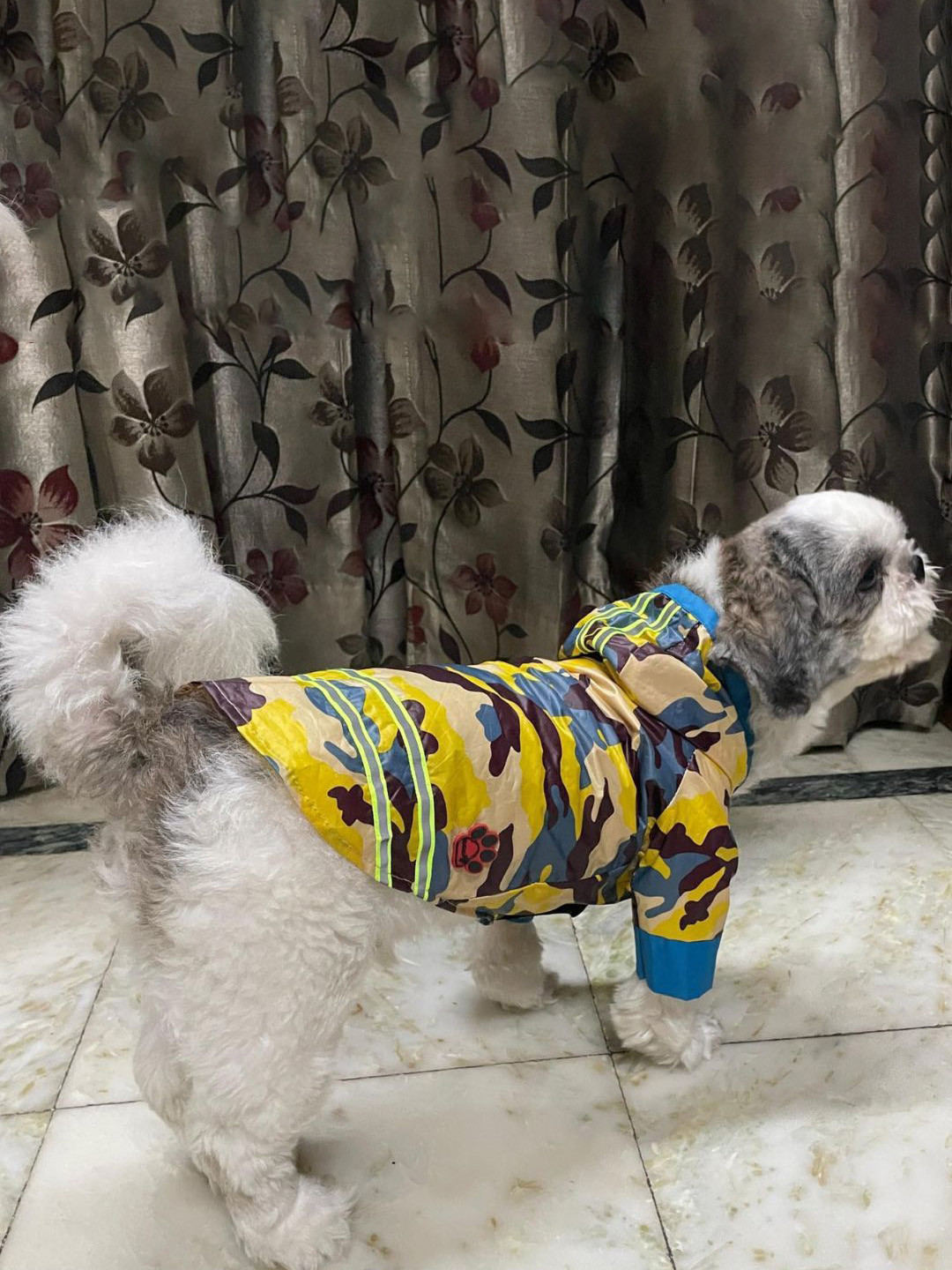 Lulala Printed Hooded Waterproof Dog Raincoat