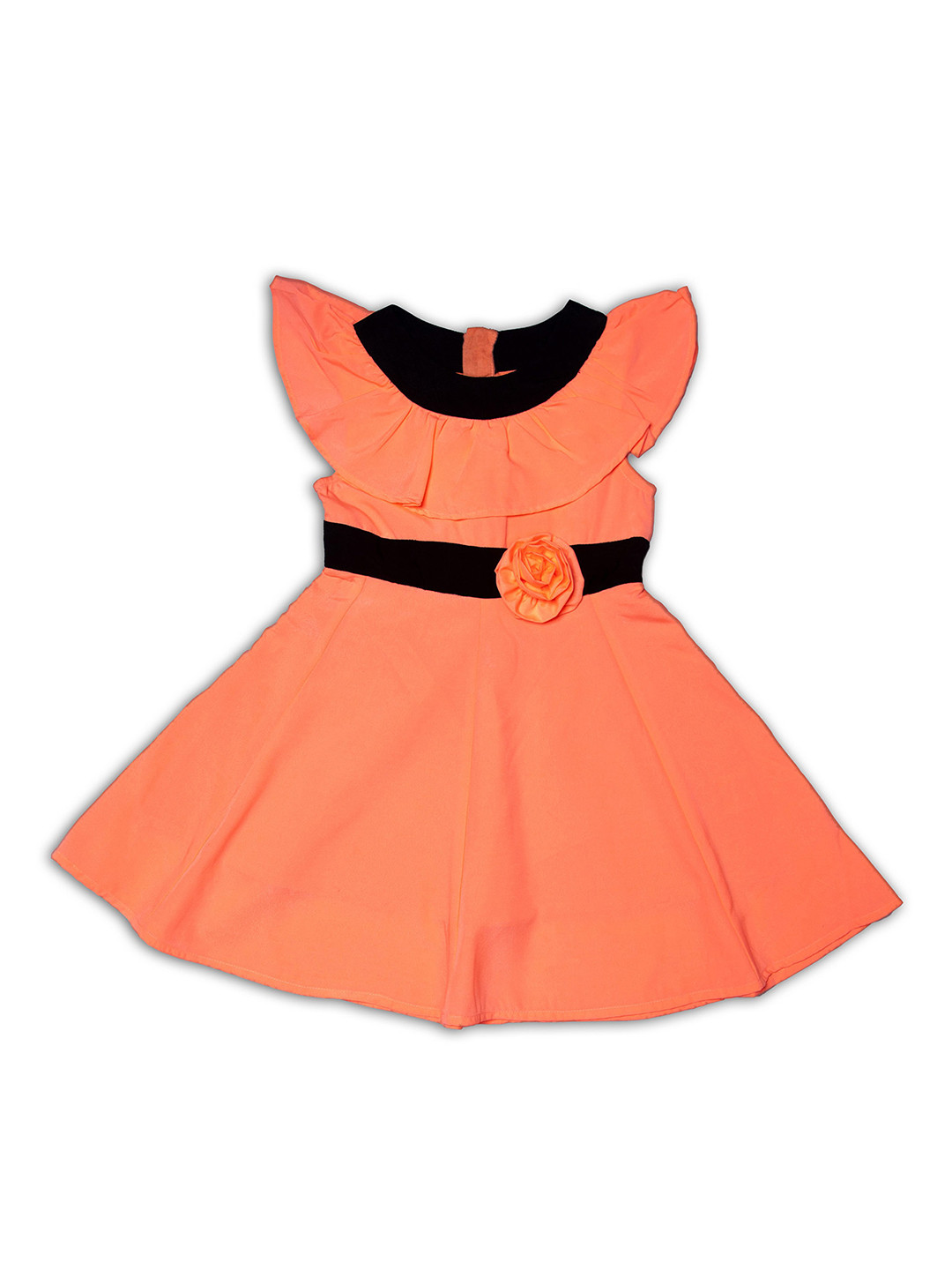 YOUNG BIRDS Girls Applique Round Neck Fit & Flare Dress