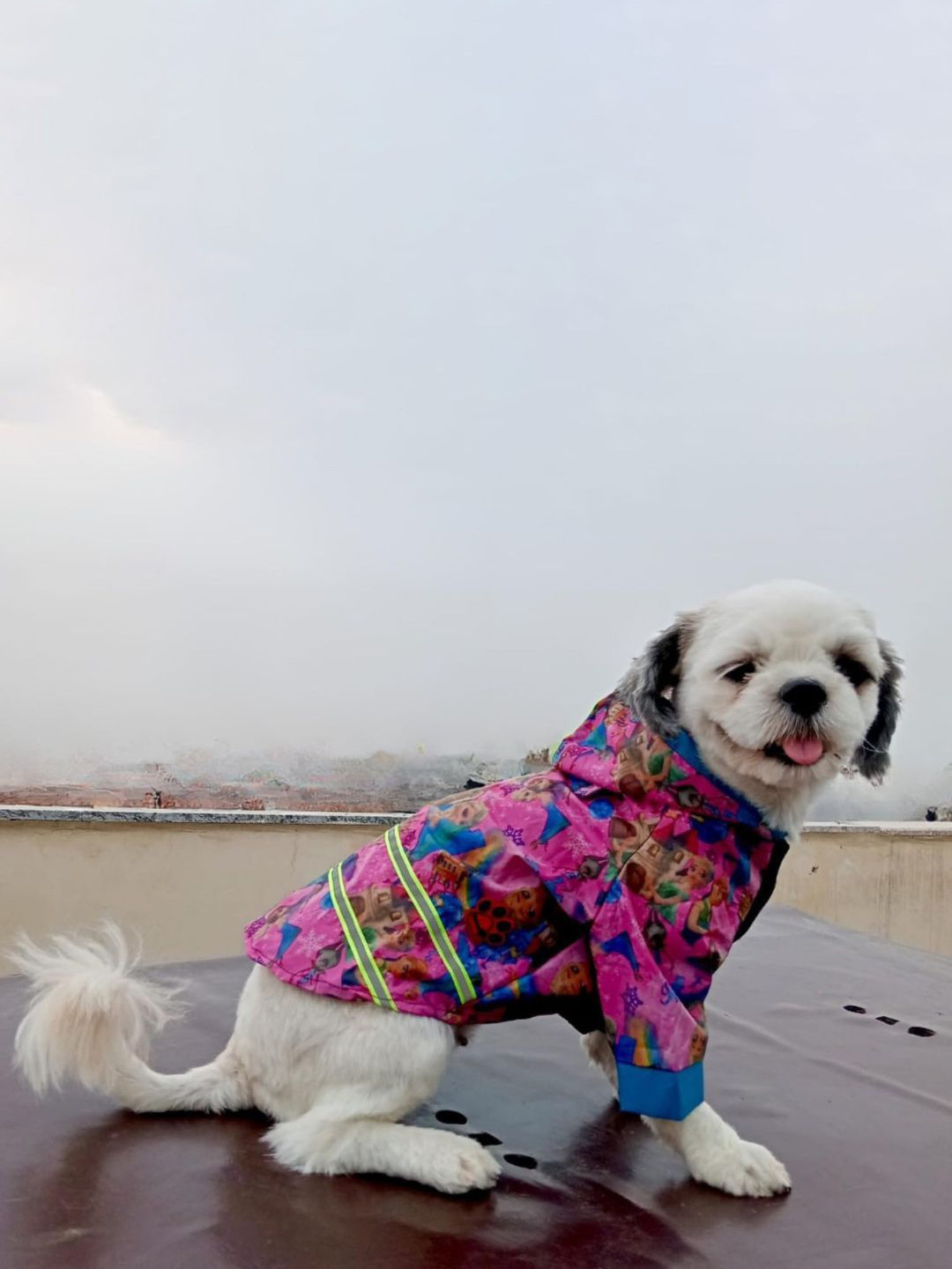 Lulala Printed Hooded Waterproof Dog Raincoat