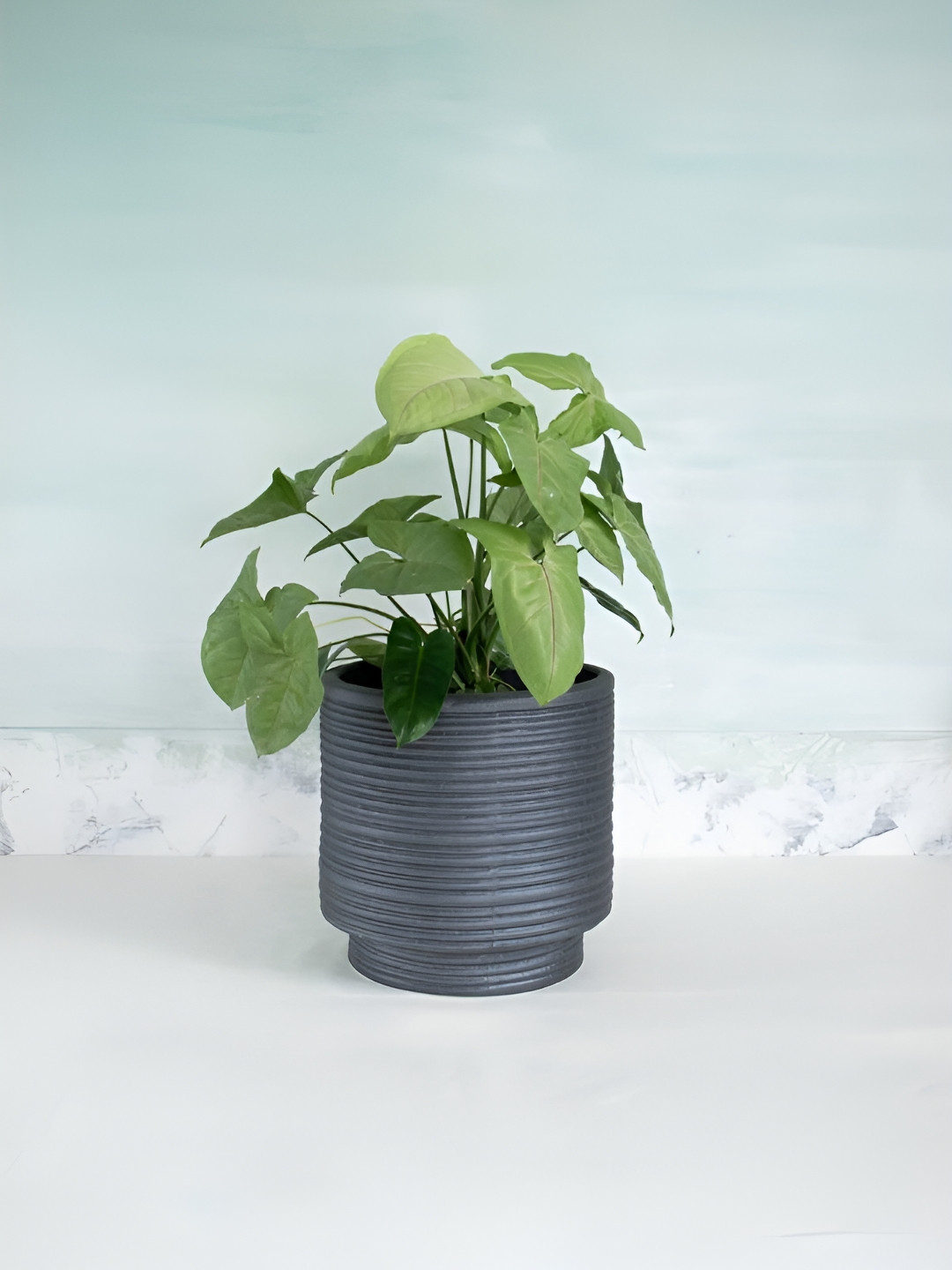 FREEDOM TREE Strata Grey TexturedCeramic Planters