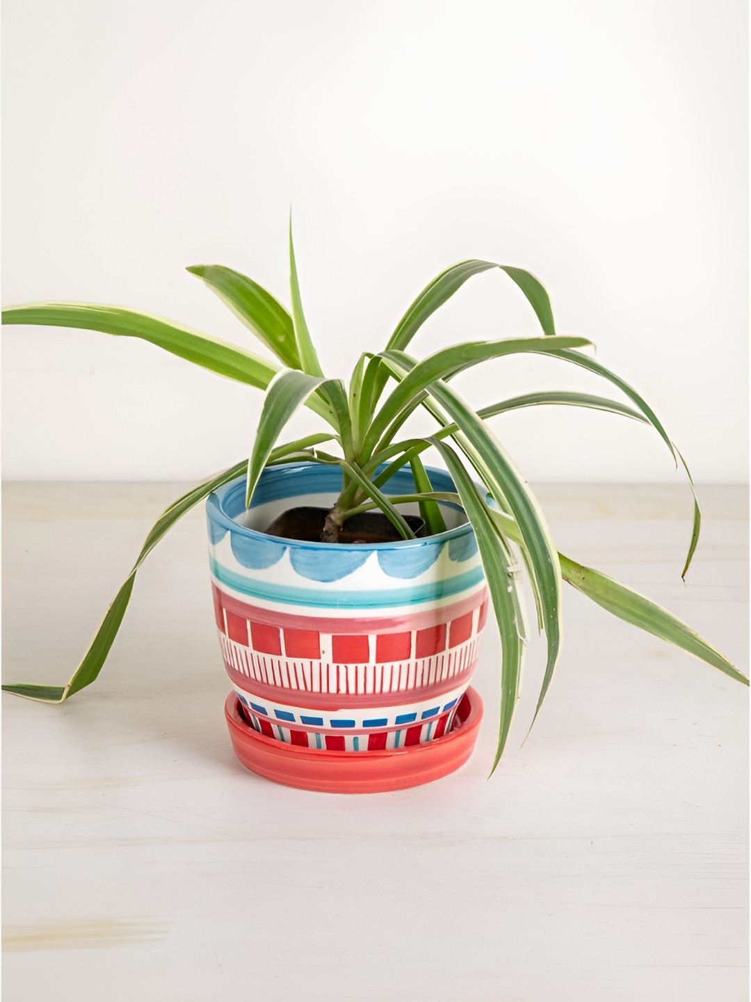 FREEDOM TREE Red & Blue Textured Ceramic Herb Planter With Tray