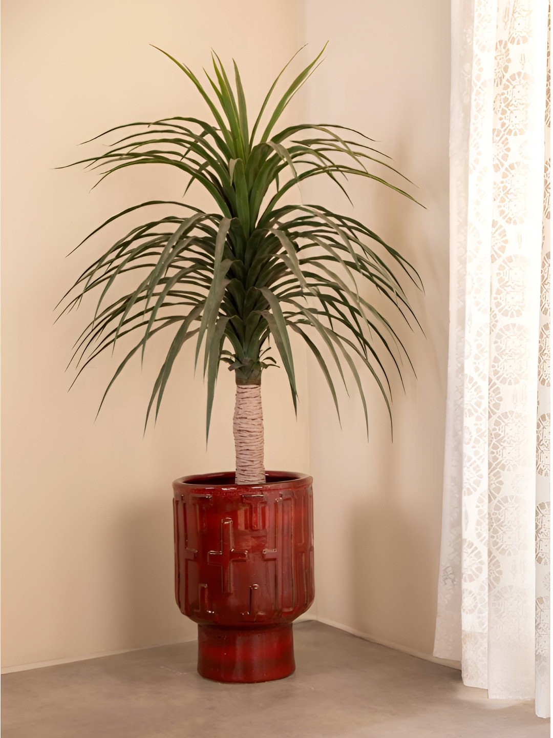 FREEDOM TREE Brown Textured Ceramic Planters