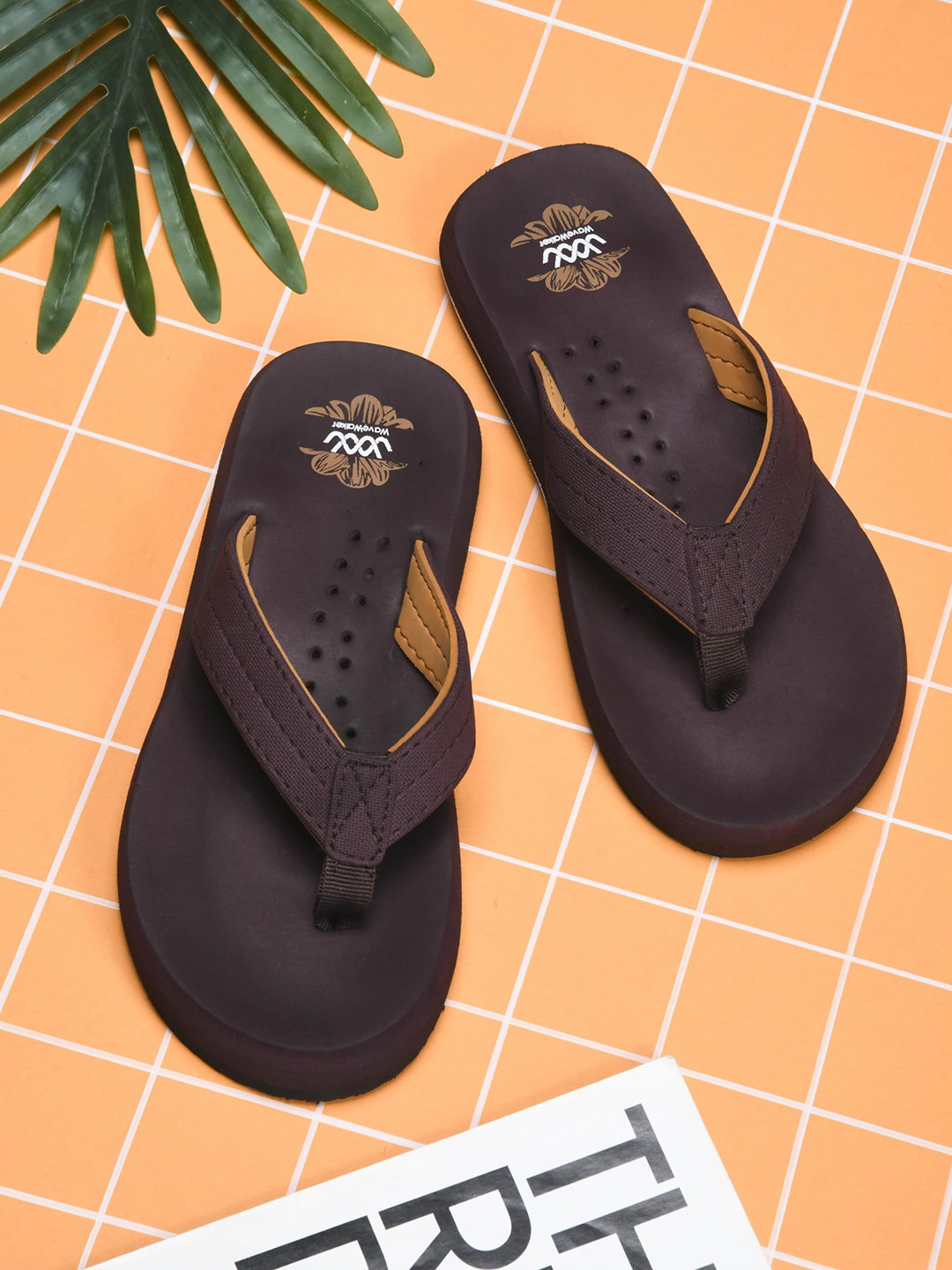 WAVE WALKER Women Colourblocked Open Toe Flats Flip Flops