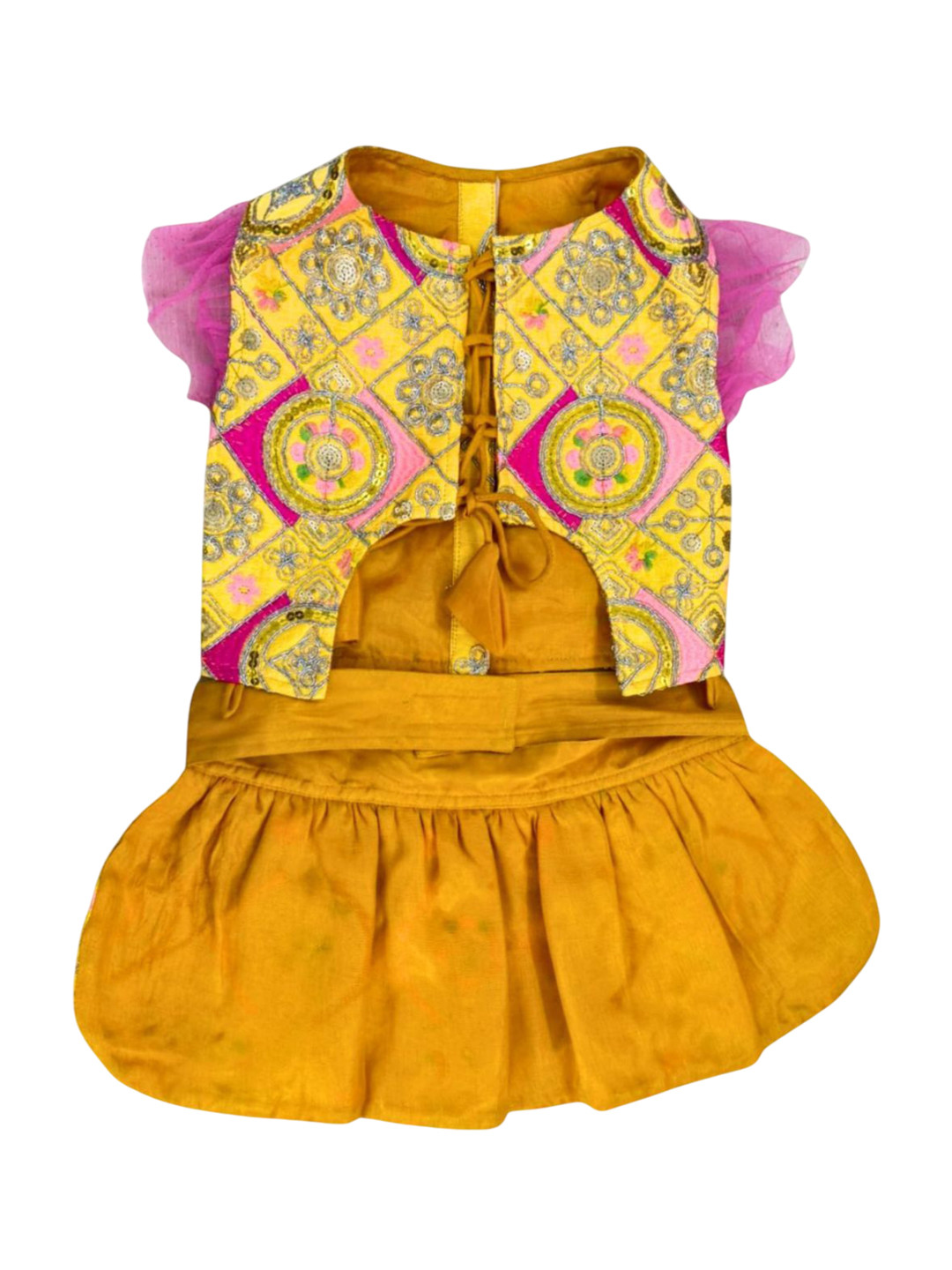 Lulala Dogs & Cats Embroidered Lehenga Choli