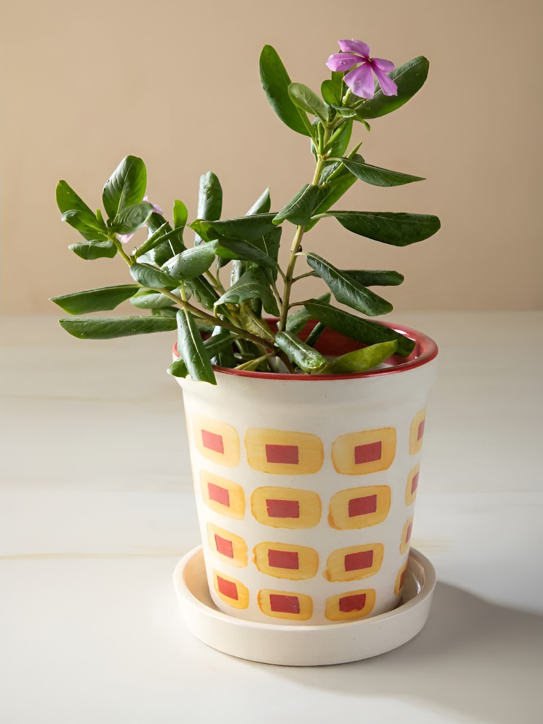 FREEDOM TREE Red TexturedCeramic Planters With Tray