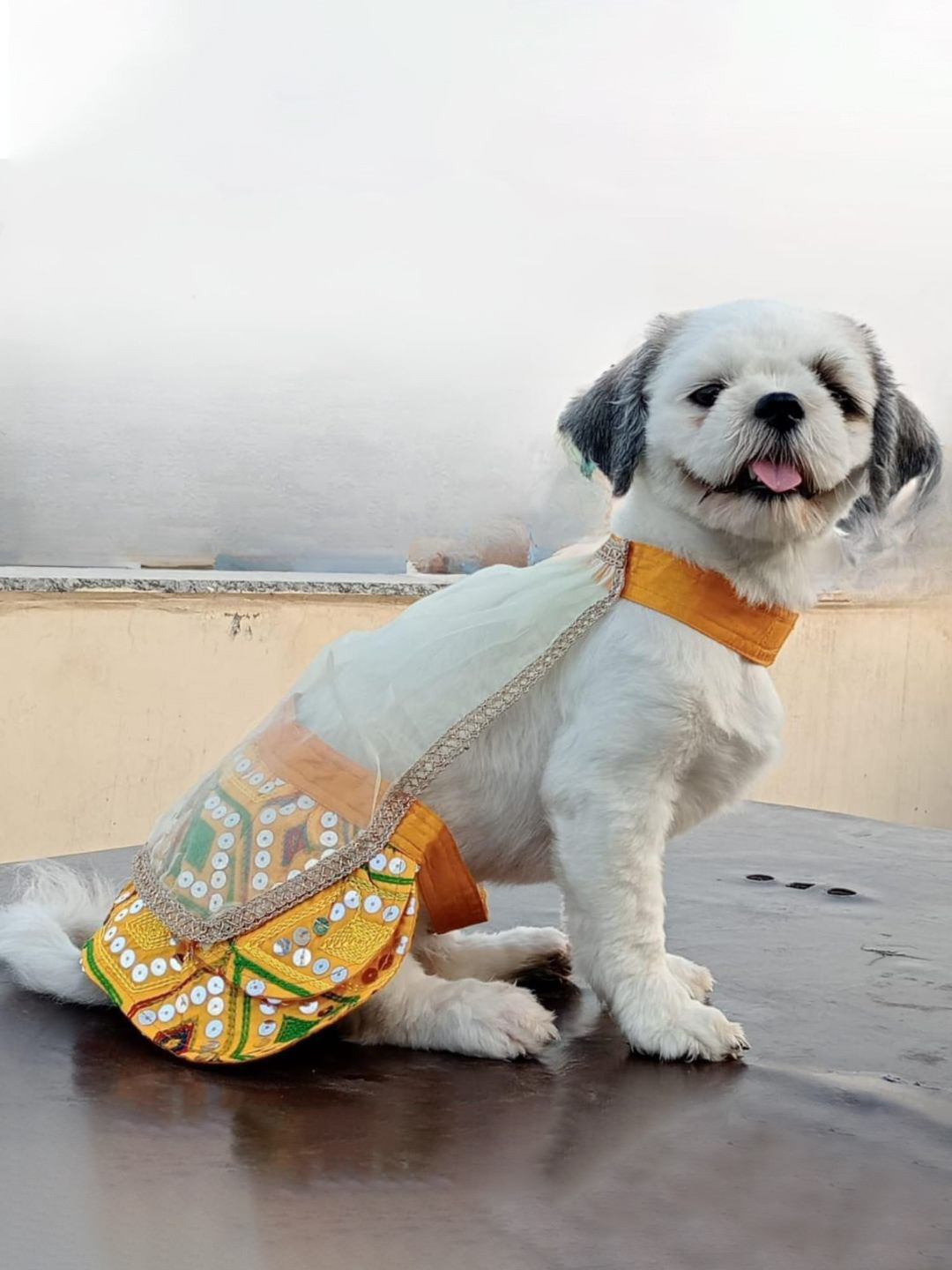Lulala Female Dogs & Cats Embroidered Lehenga Choli With Dupatta